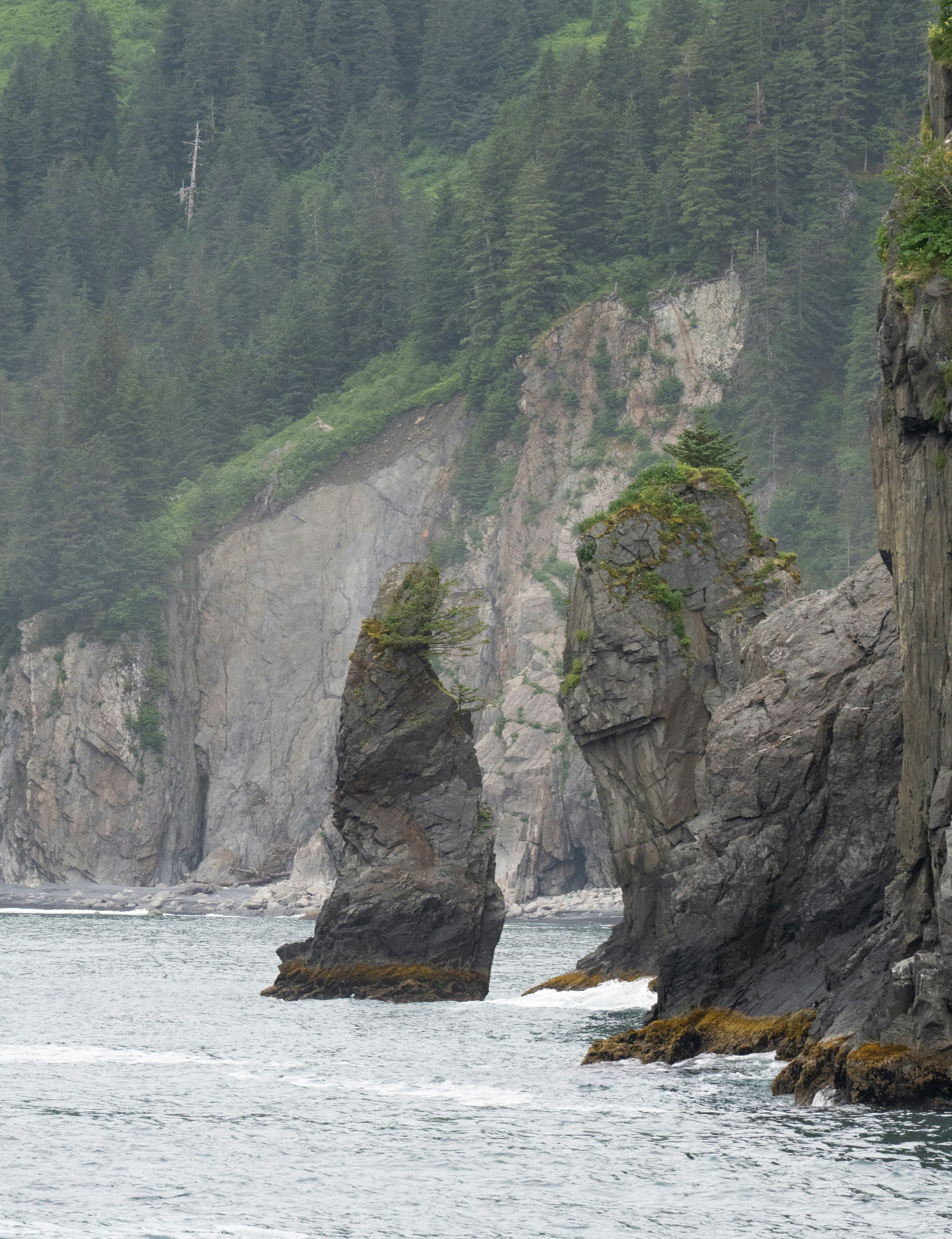 Photo by frankynevermore