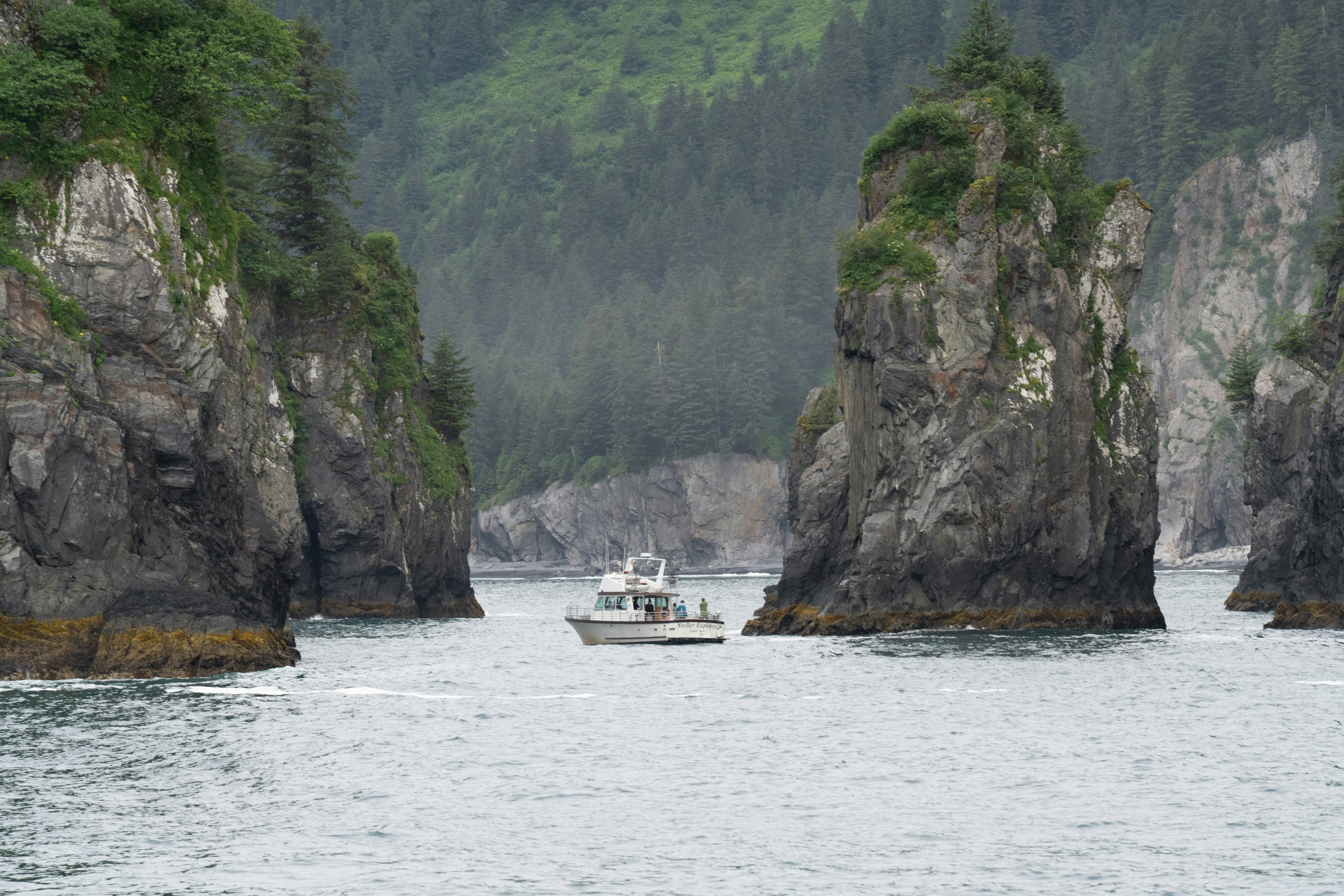 Photo by frankynevermore