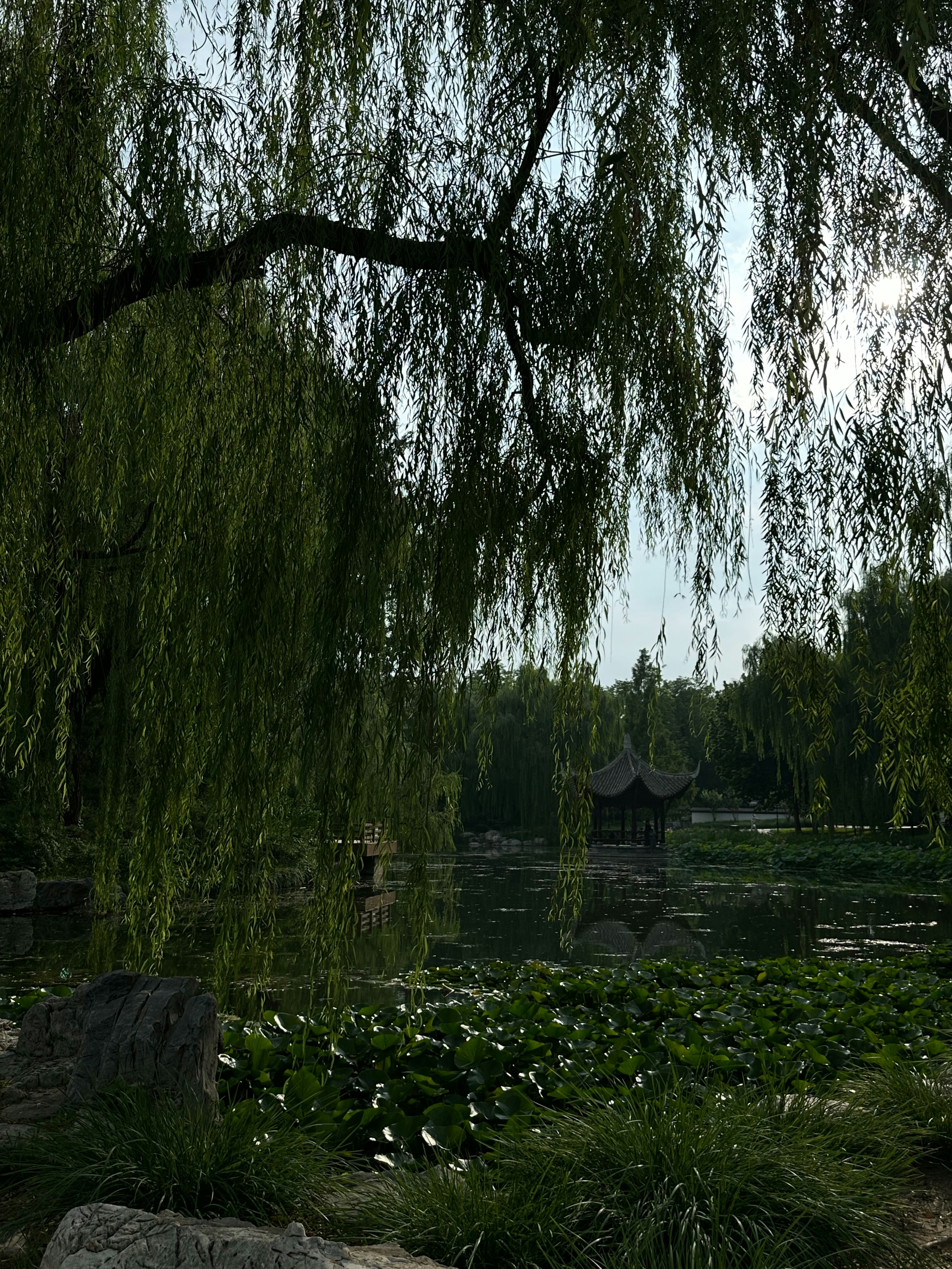 Photo by ccd66