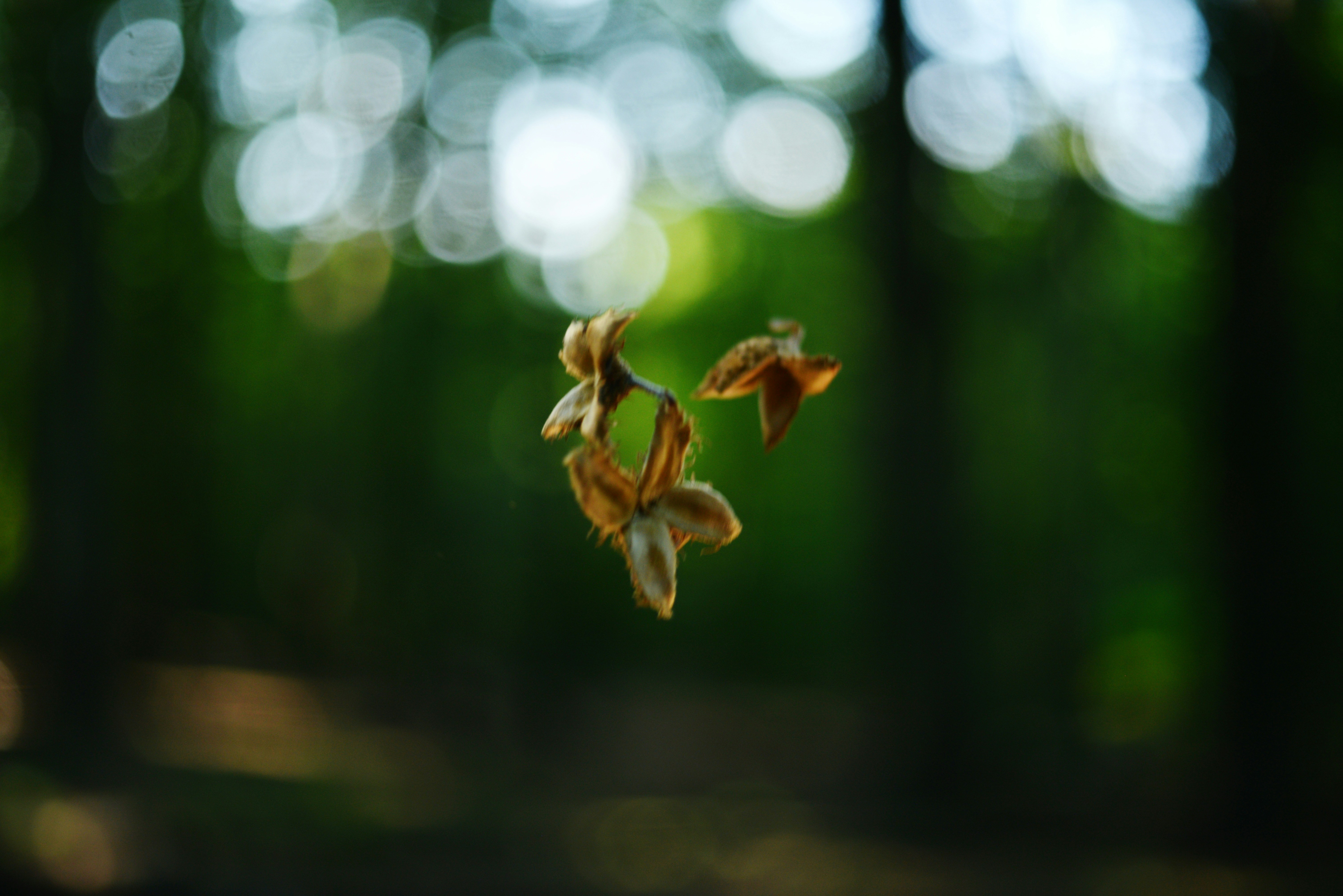 Photo by cherstve_pechivo