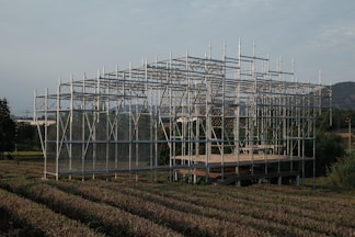 A skeletal structure stands in a field.