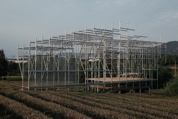 A skeletal structure stands in a field.