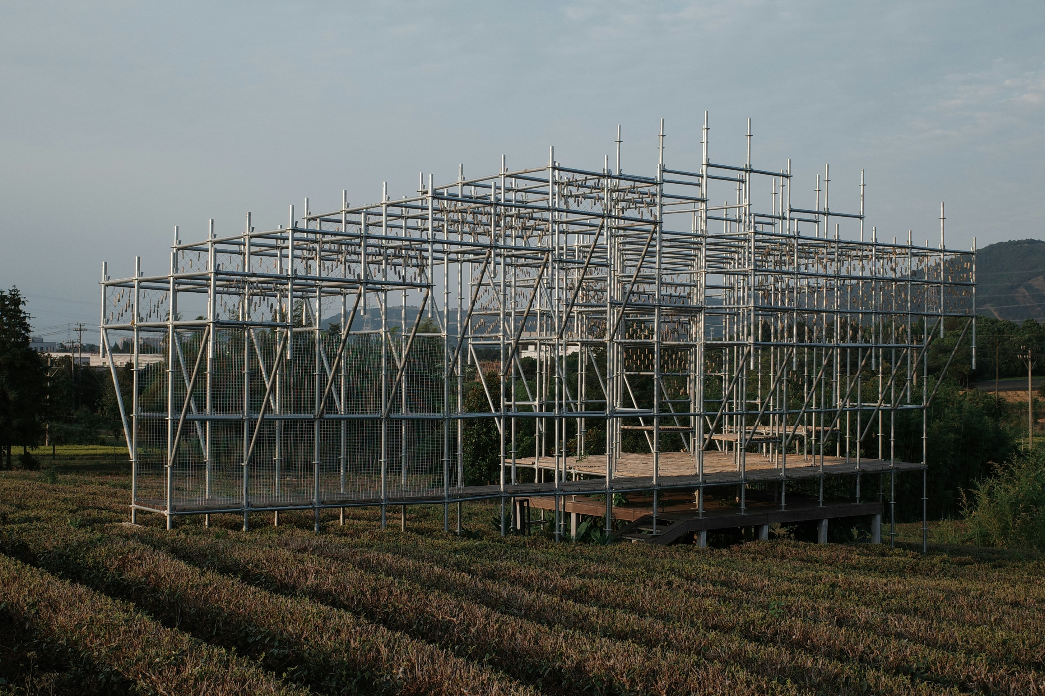 A skeletal structure stands in a field.