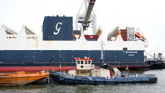 Remote Cargo Damage Surveys