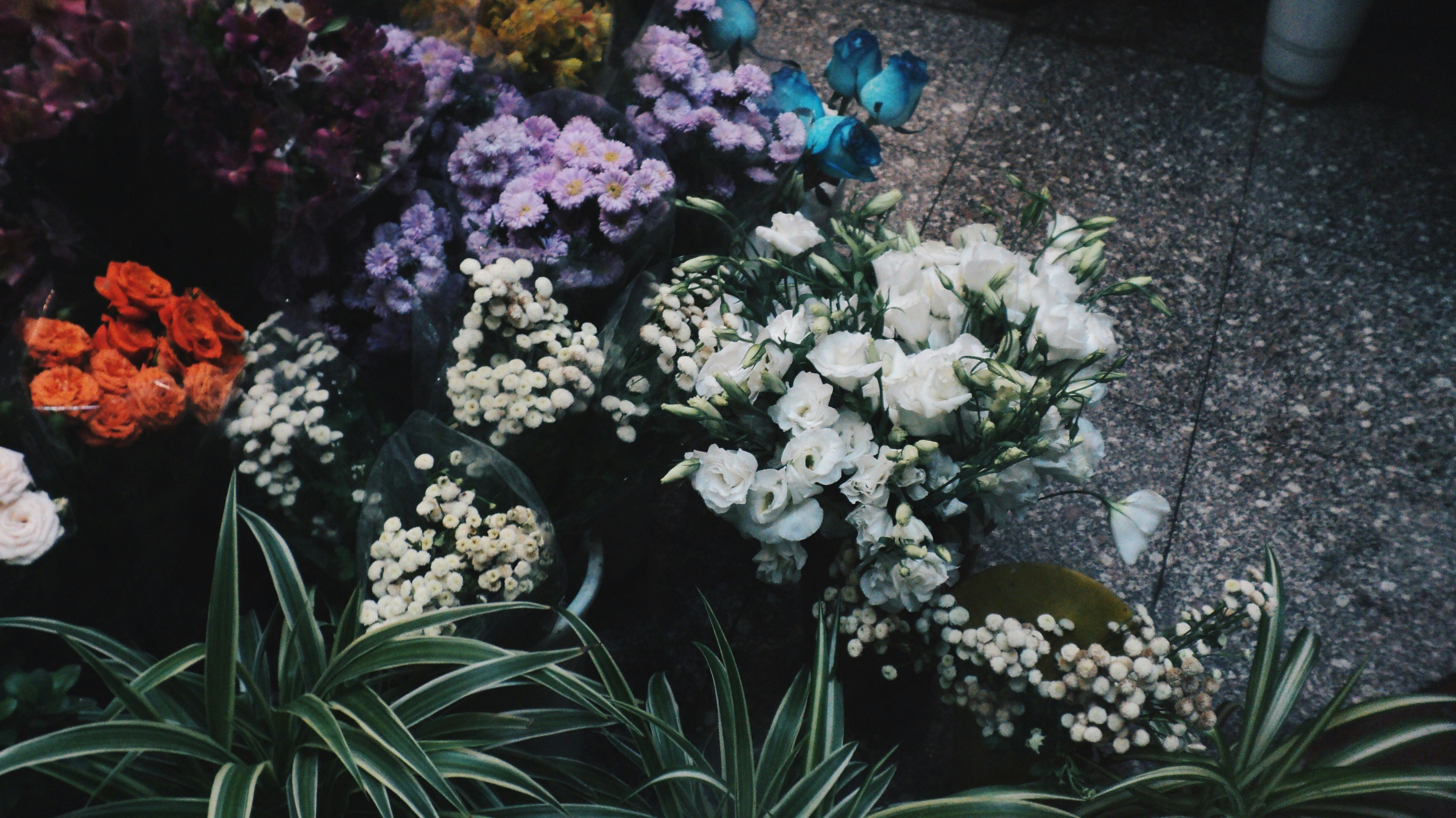 Photo by mdrezajalali