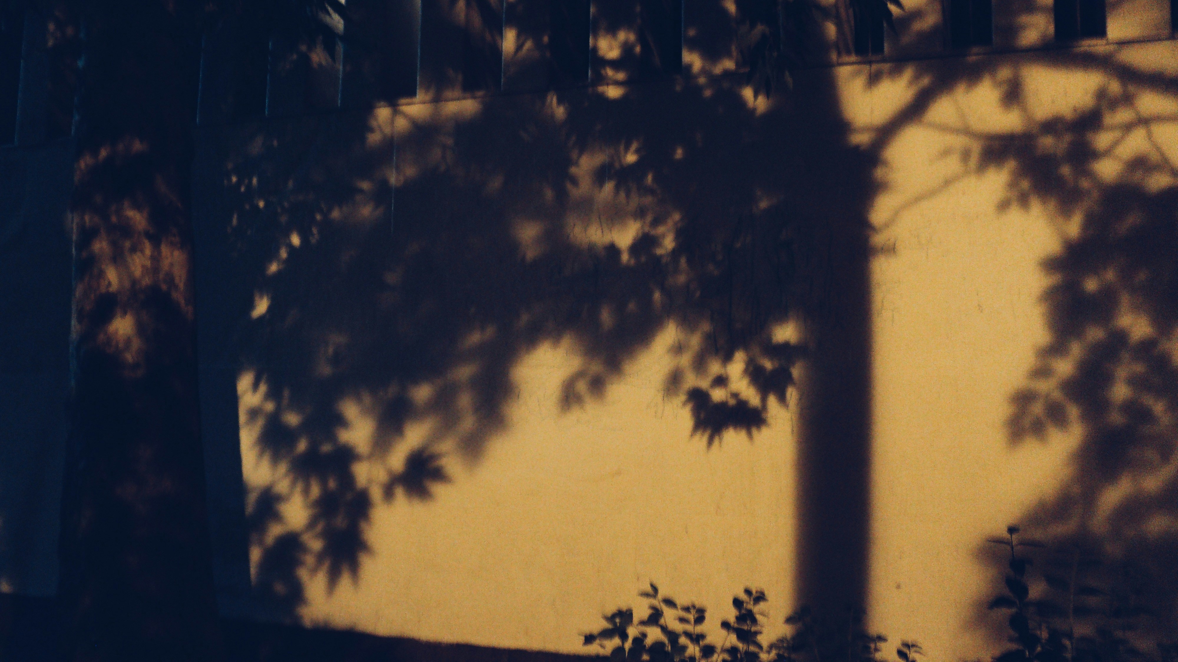 Photo by mdrezajalali