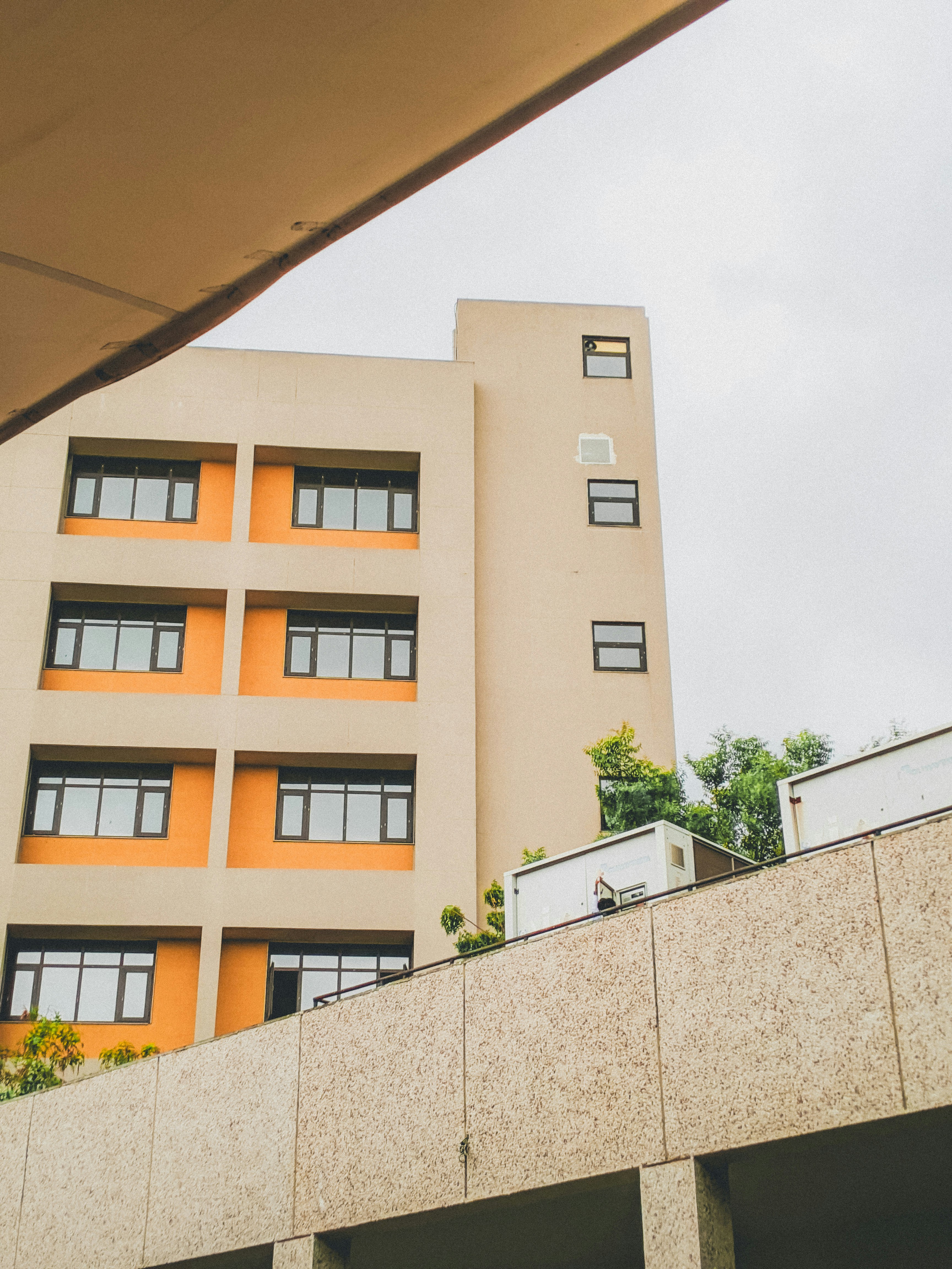 Photo by cortexwillow