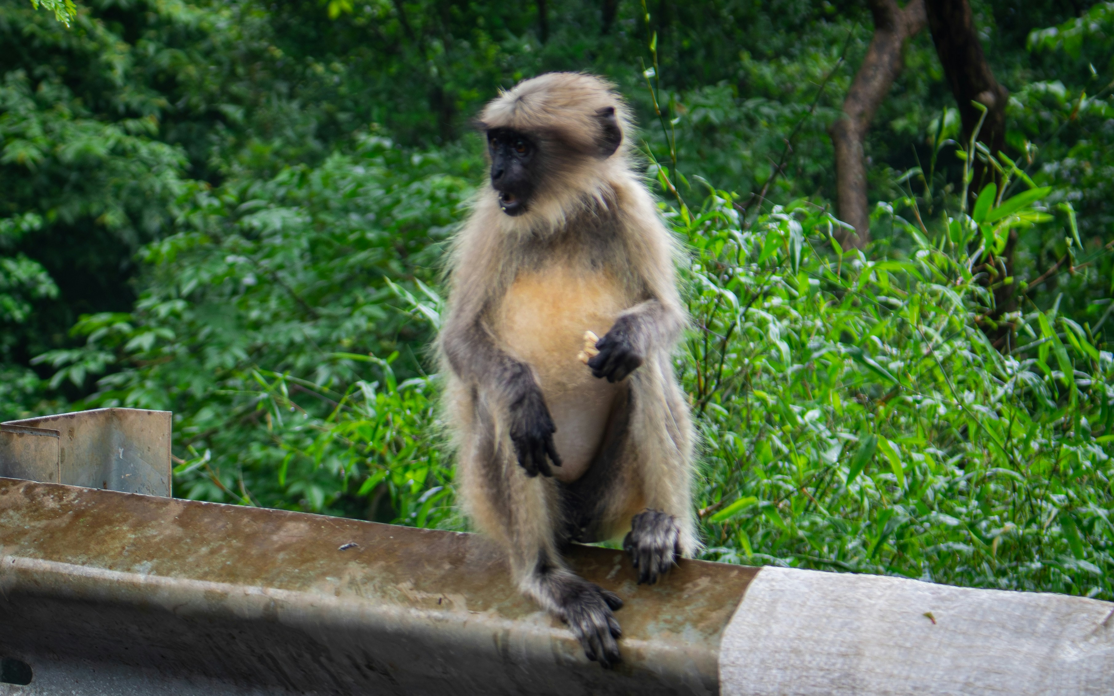 Photo by zoshuacolah