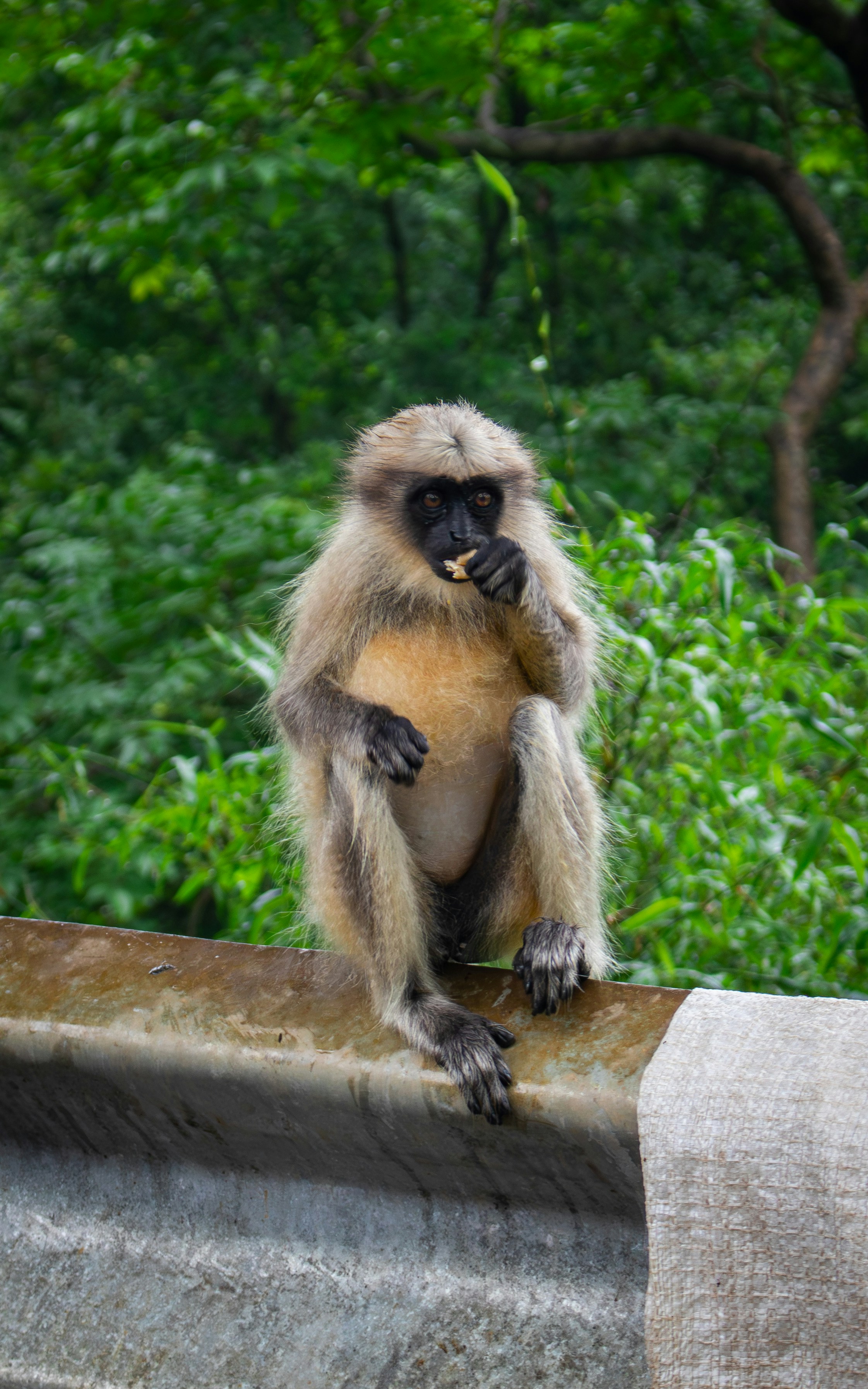 Photo by zoshuacolah