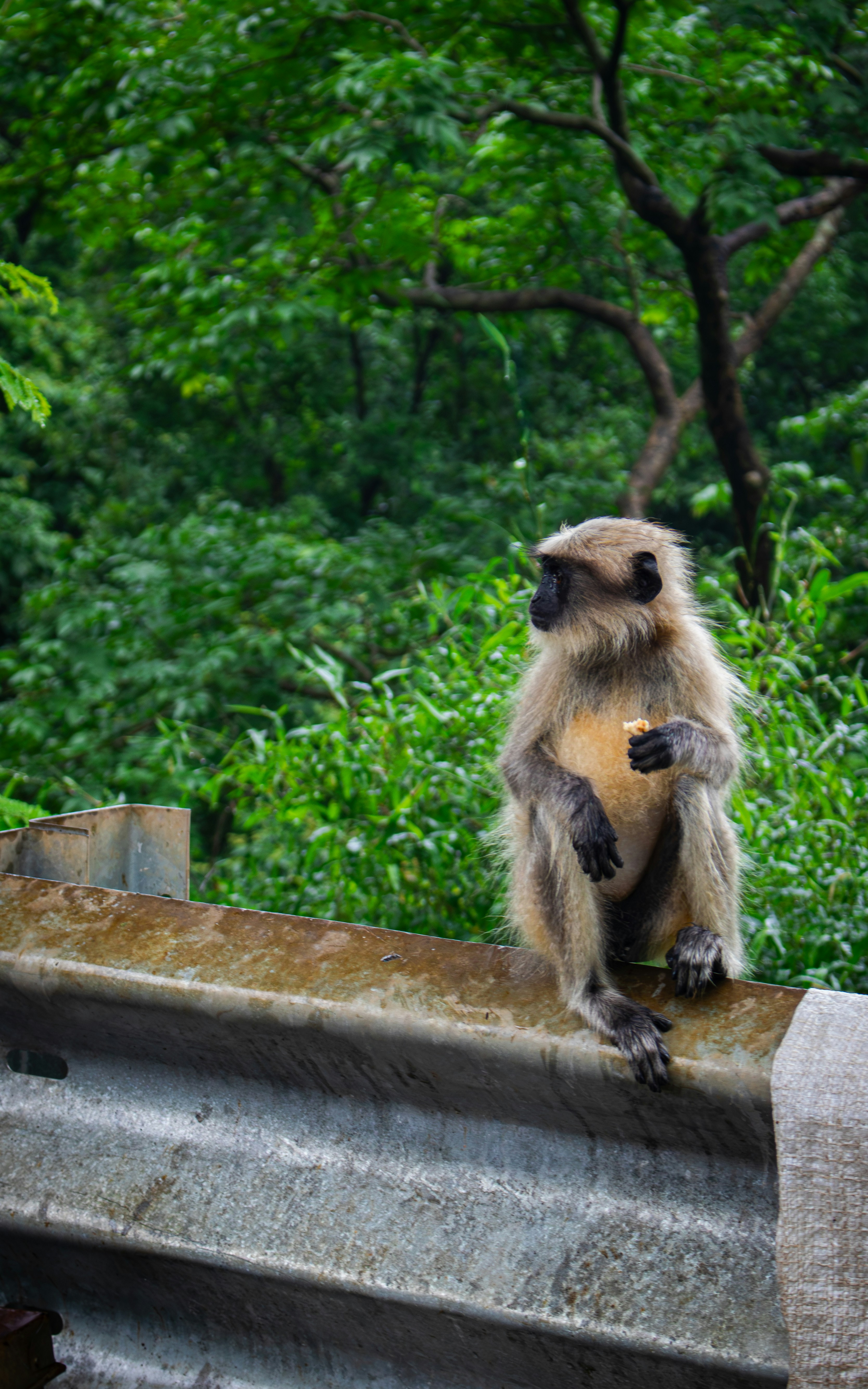 Photo by zoshuacolah