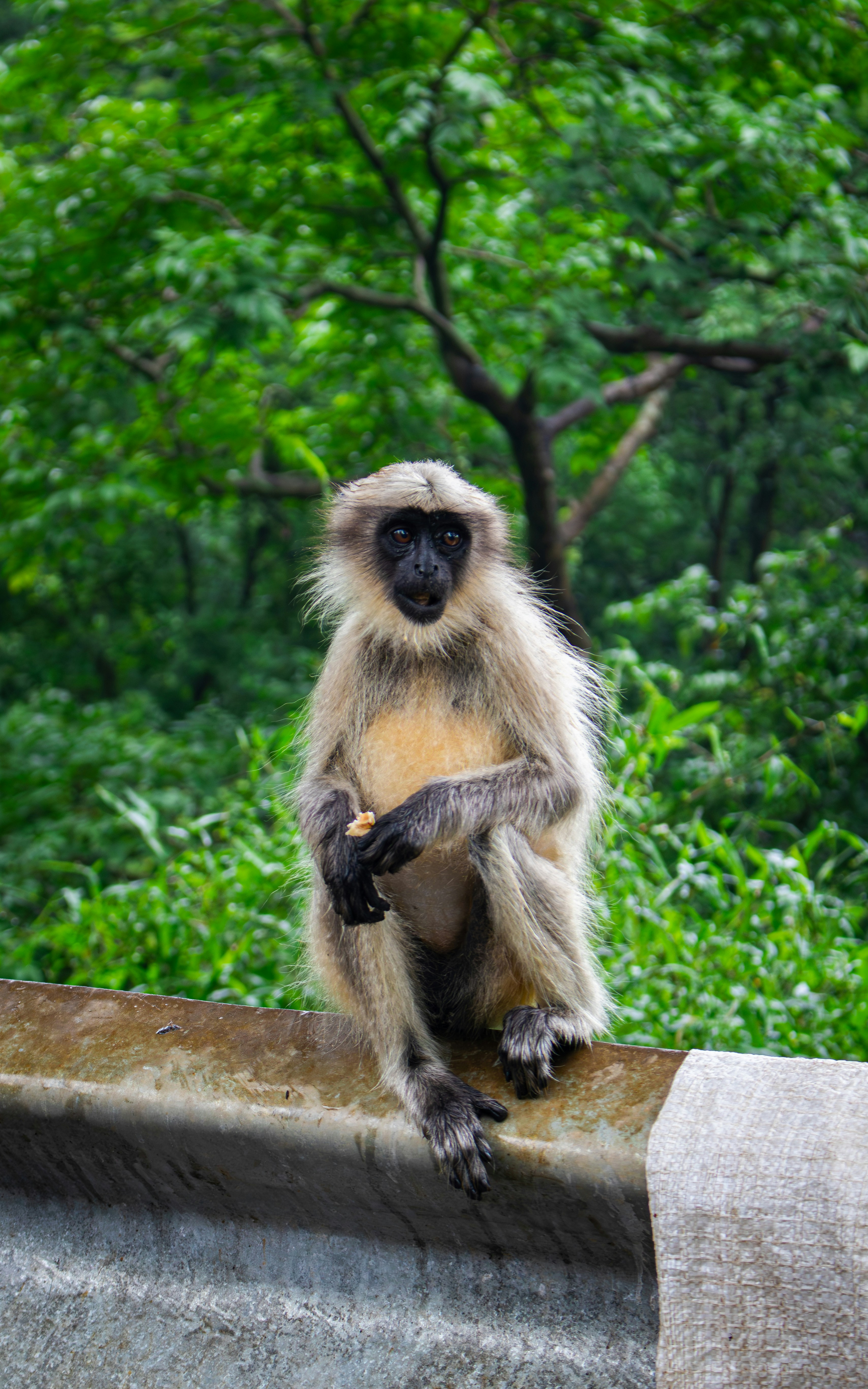 Photo by zoshuacolah