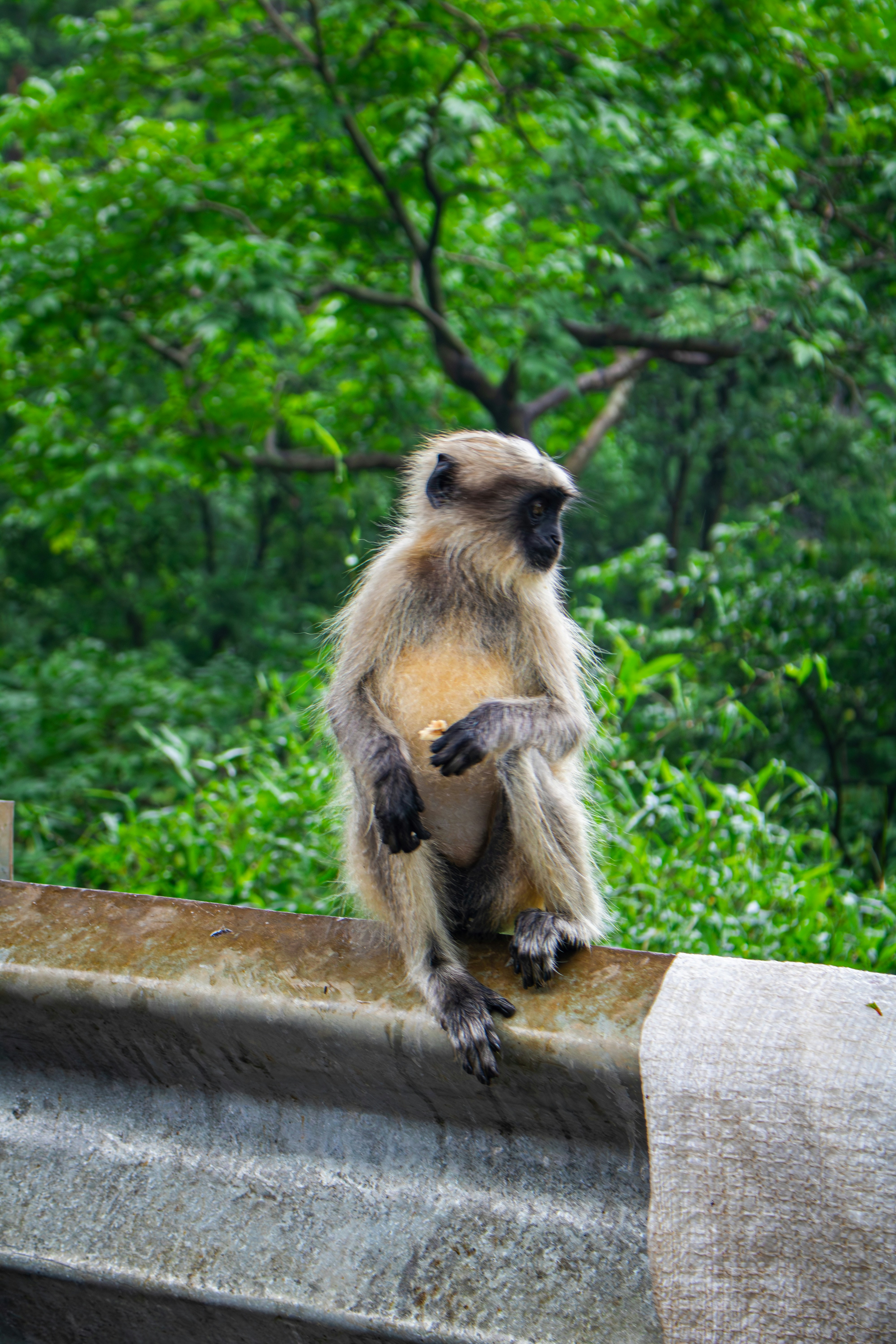 Photo by zoshuacolah