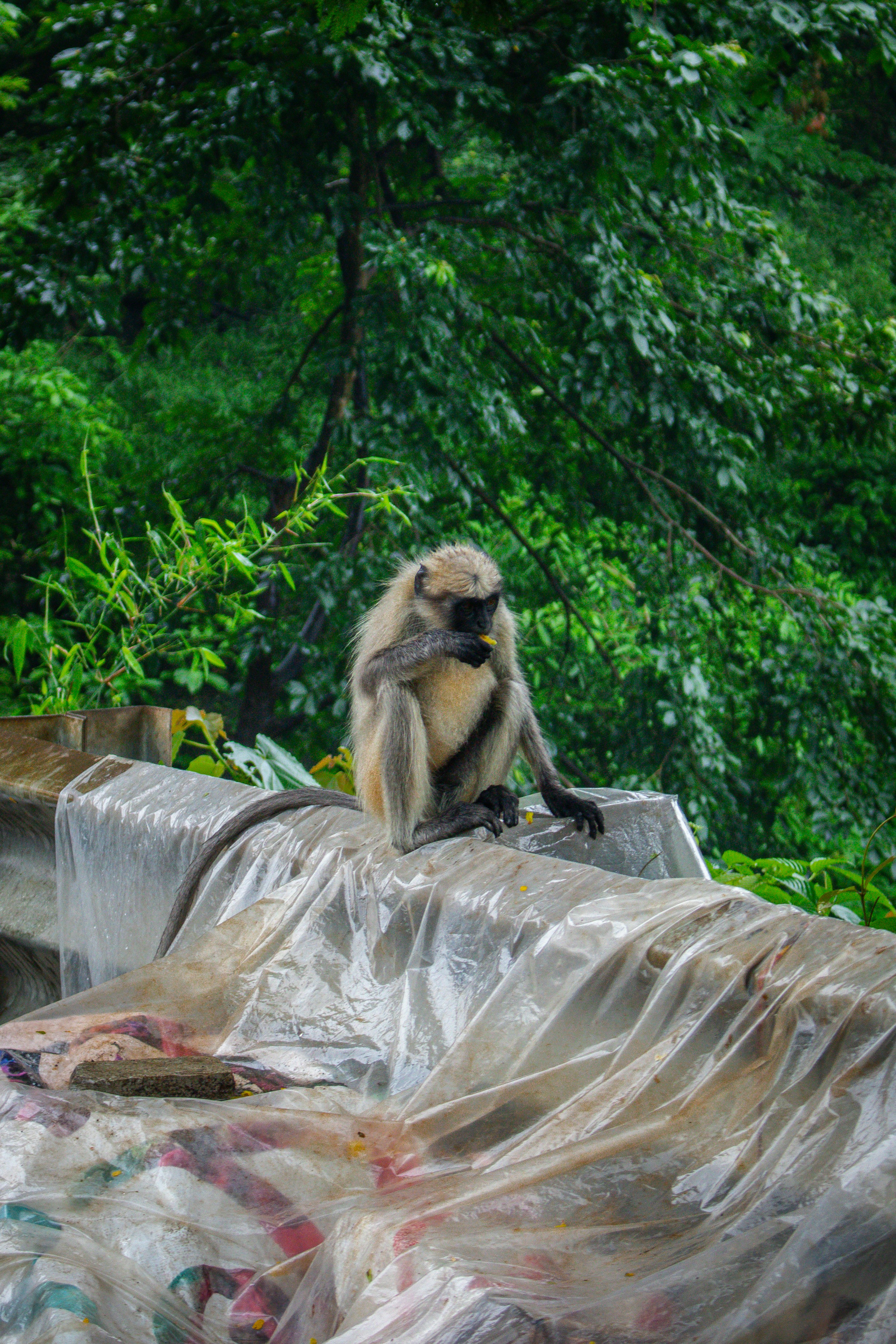 Photo by zoshuacolah