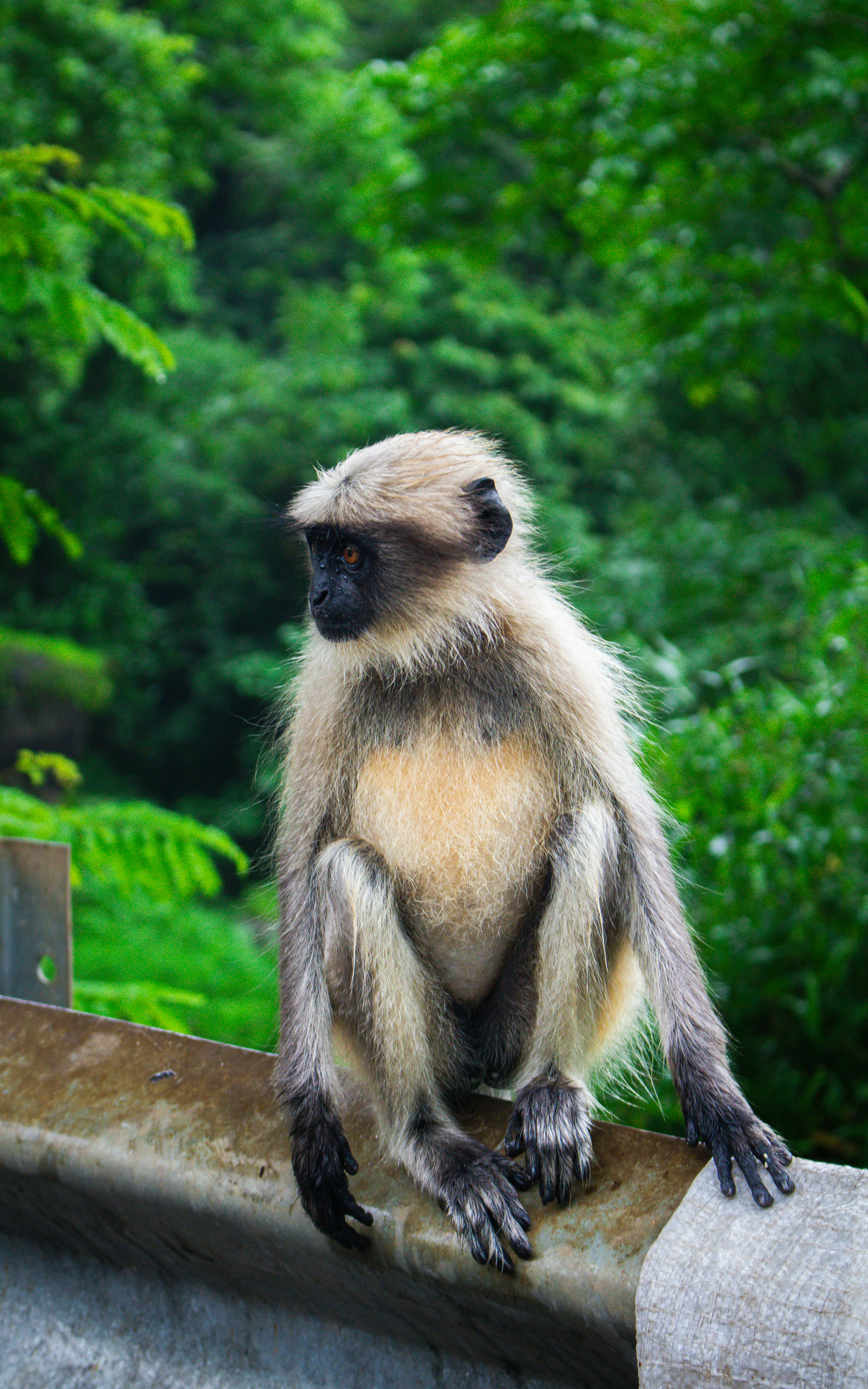 Photo by zoshuacolah