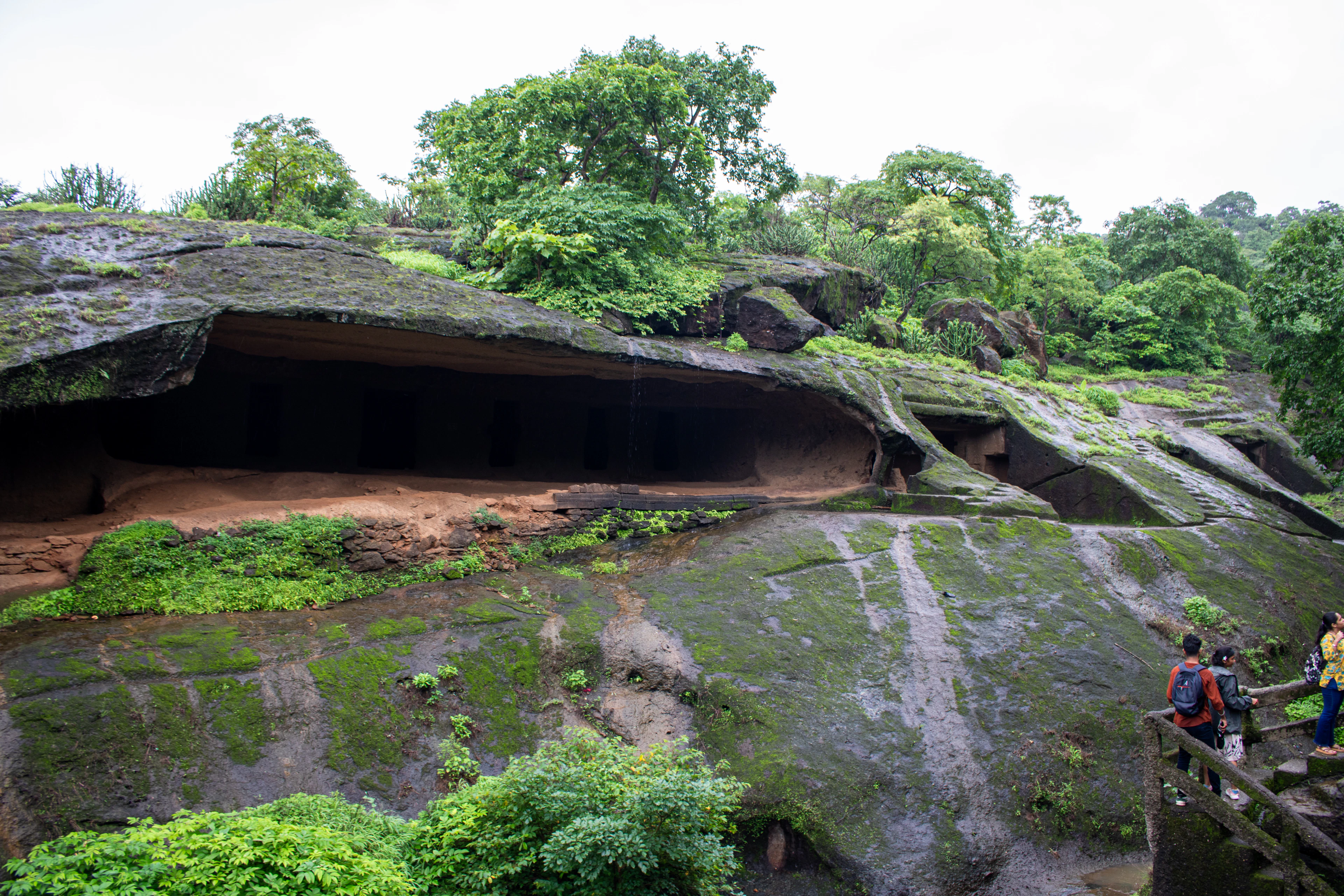 The rock-cut Kanheri Caves in Sanjay Gandhi National Park: a row of dark carved doorways cut into a moss-green basalt hillside, monsoon forest crowding the ridge above and a couple of walkers on the path below.