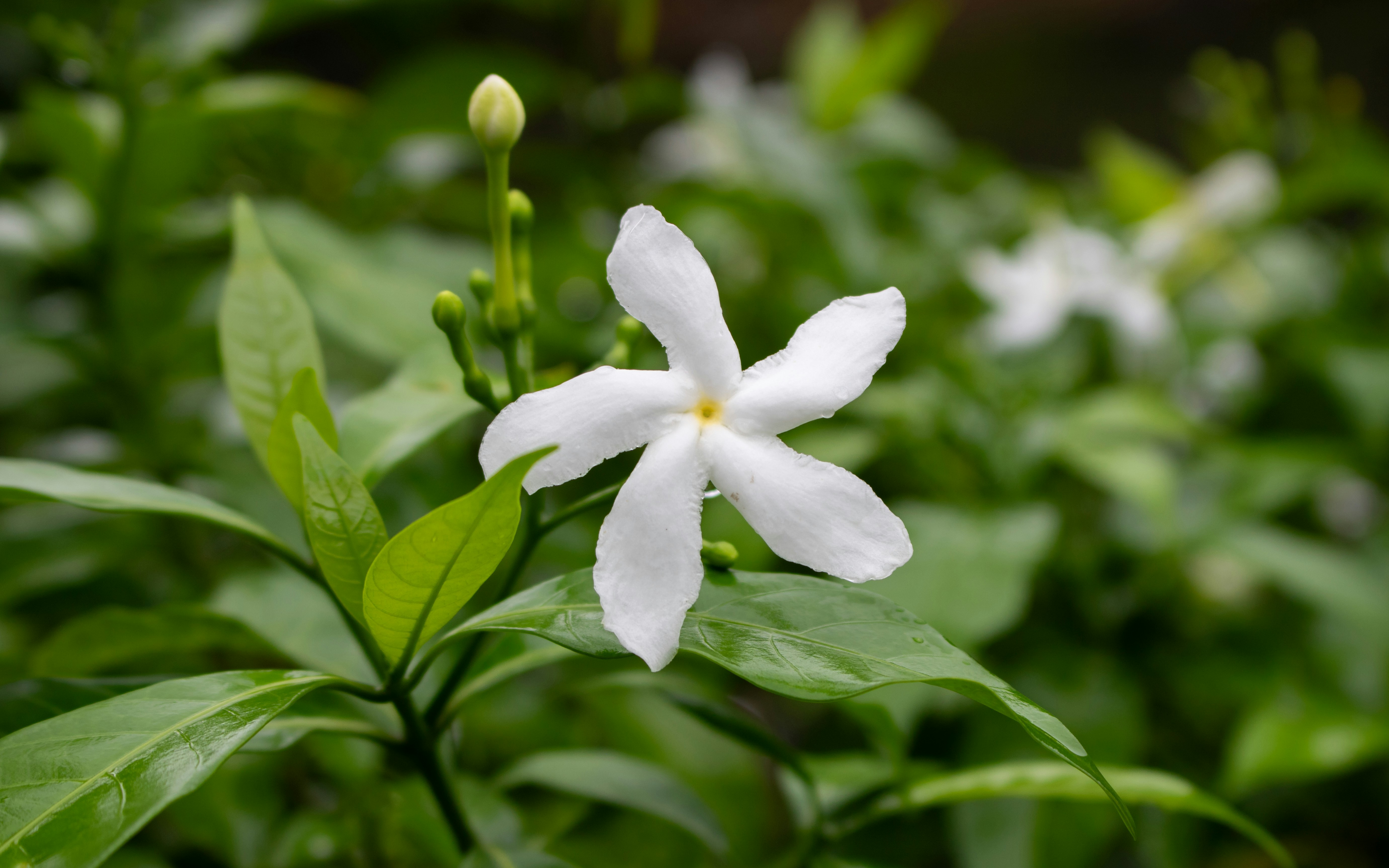 Photo by zoshuacolah