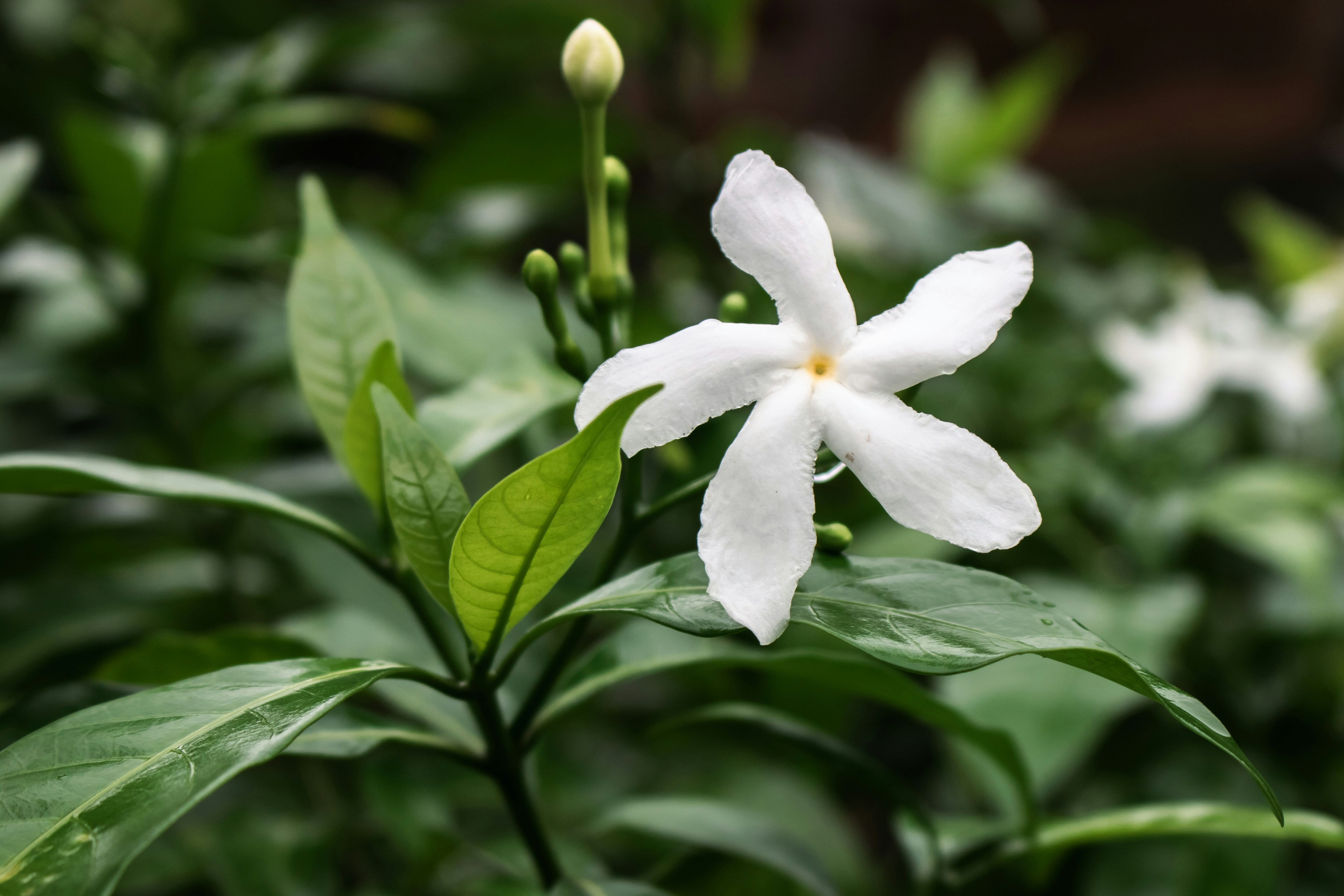 Photo by zoshuacolah