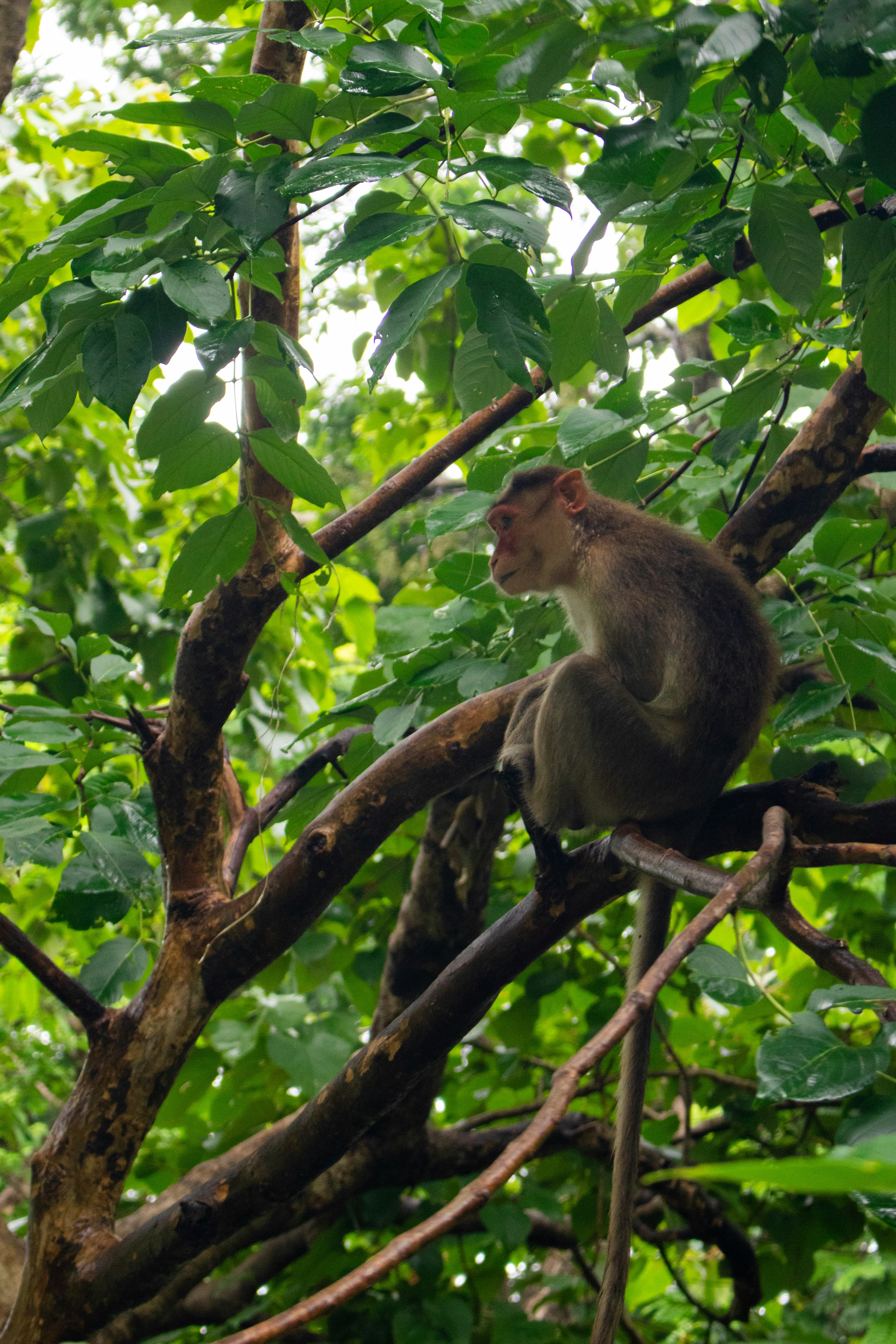 Photo by zoshuacolah