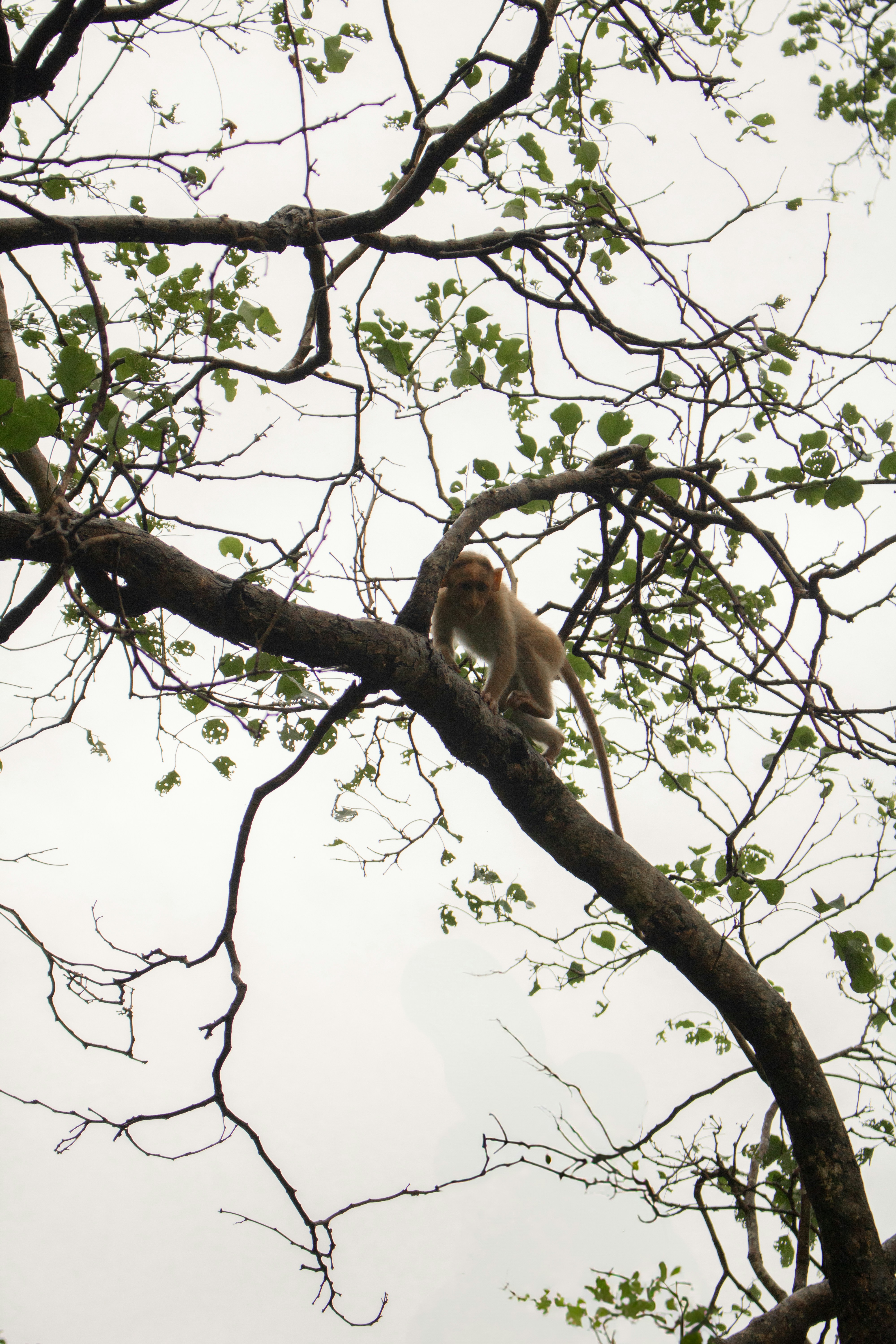 Photo by zoshuacolah