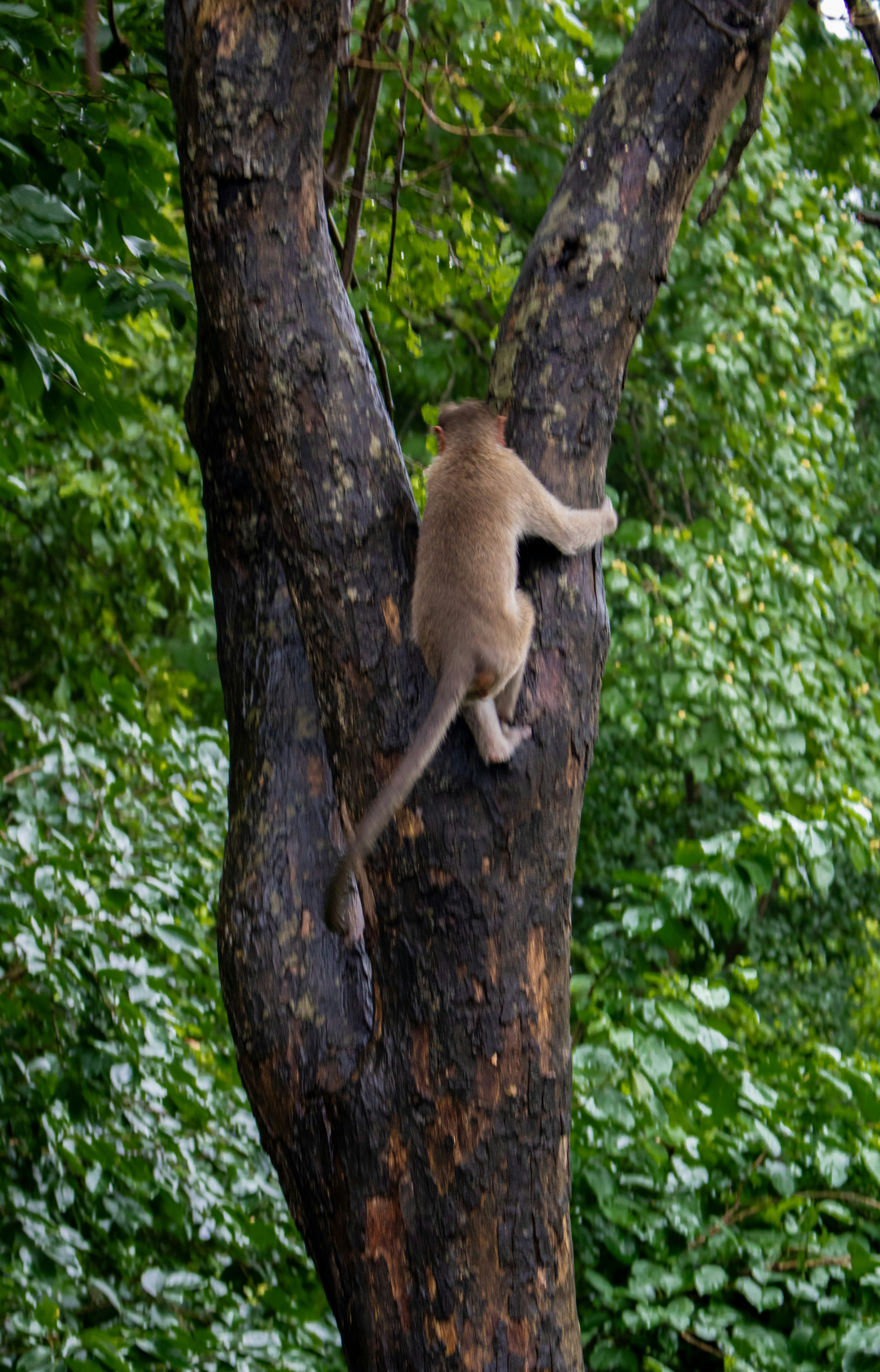 Photo by zoshuacolah