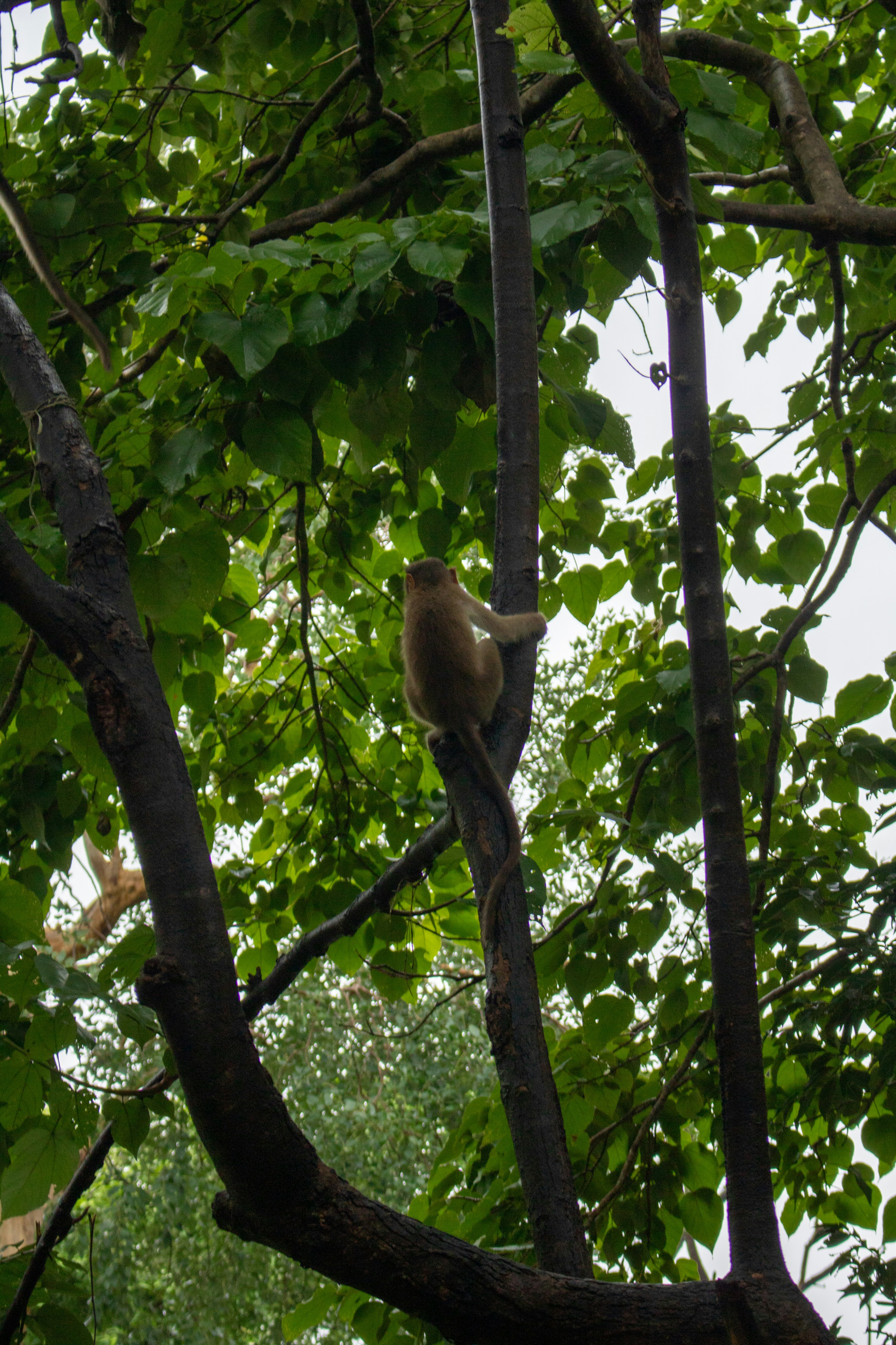 Photo by zoshuacolah