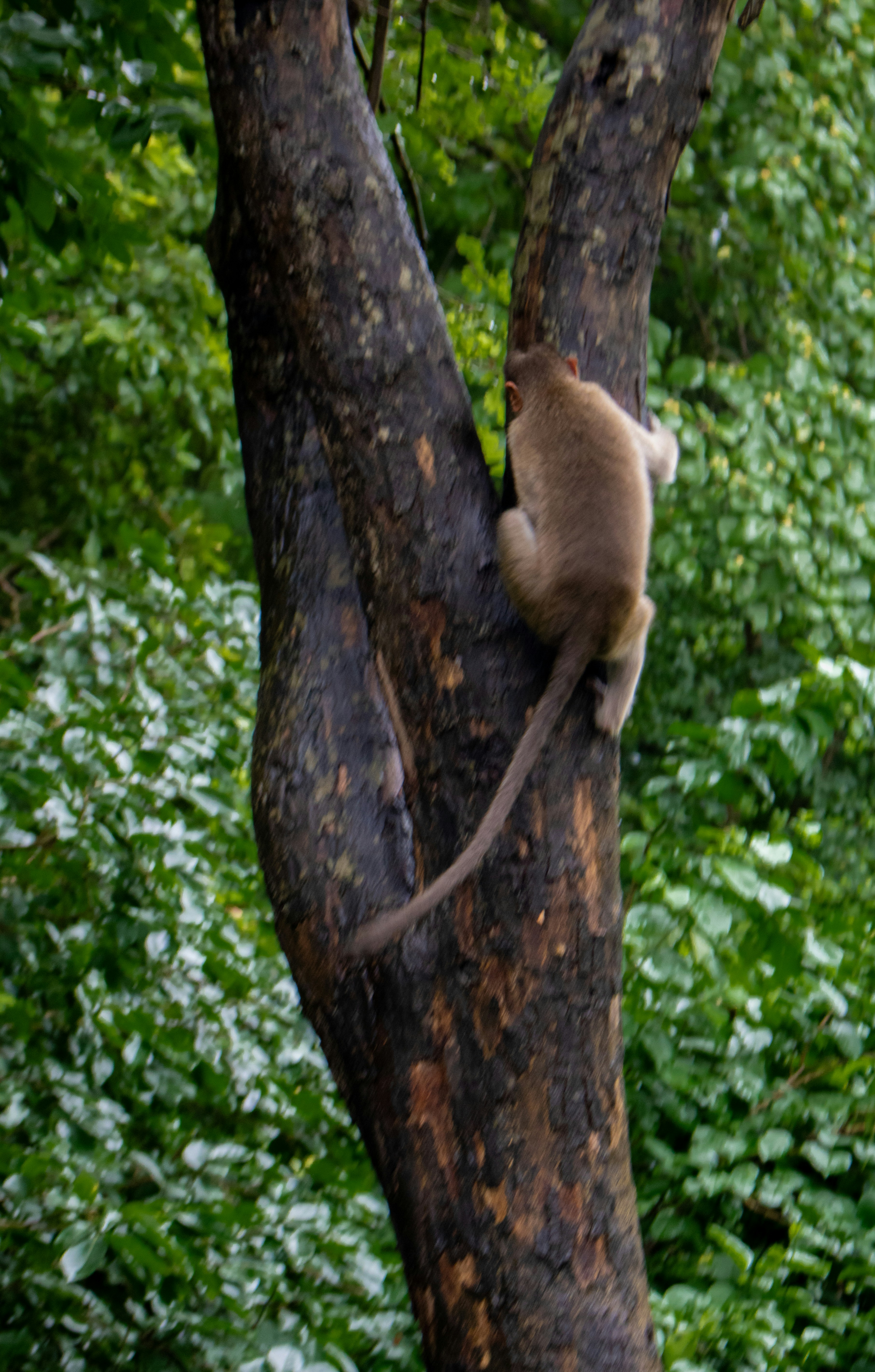 Photo by zoshuacolah