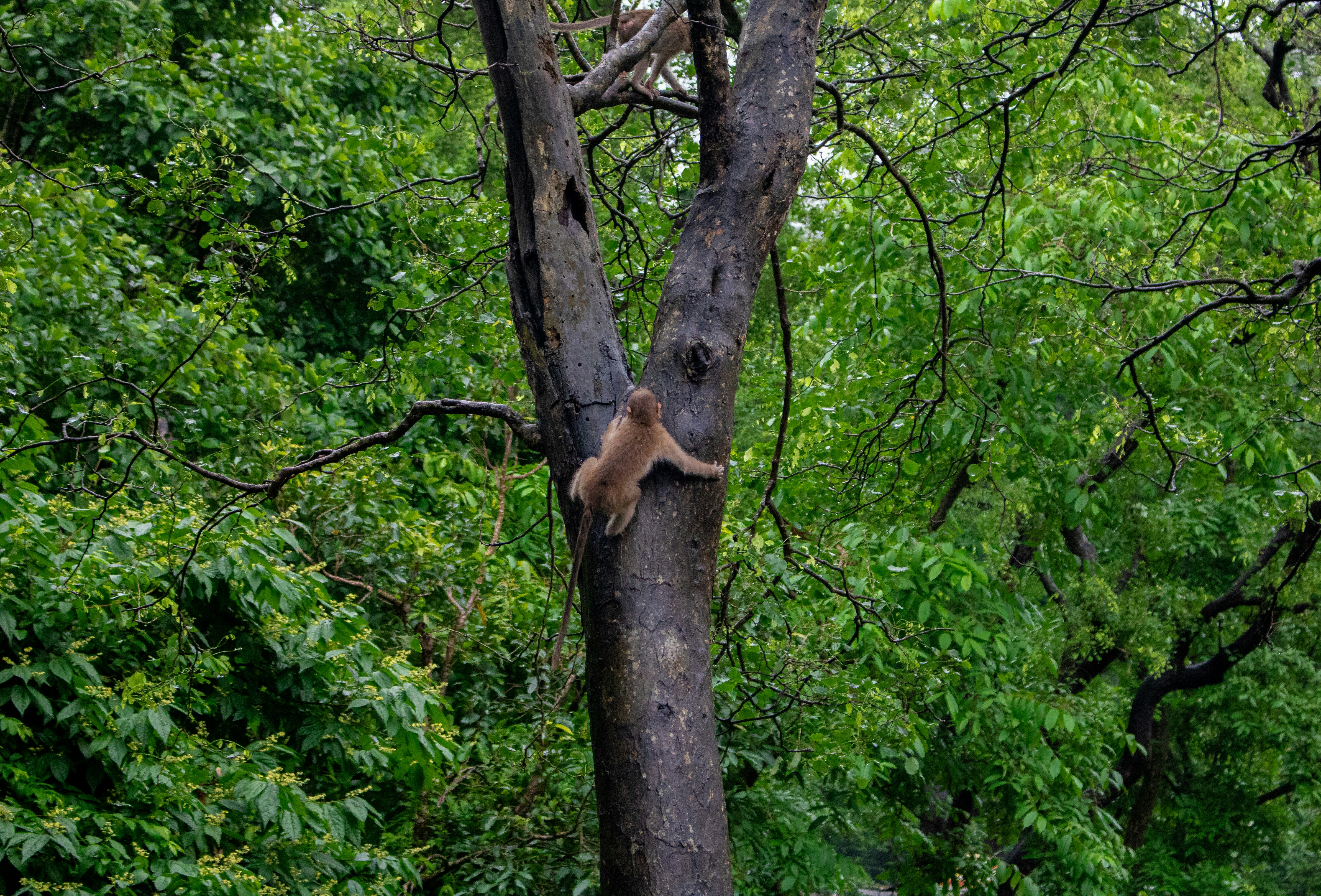 Photo by zoshuacolah