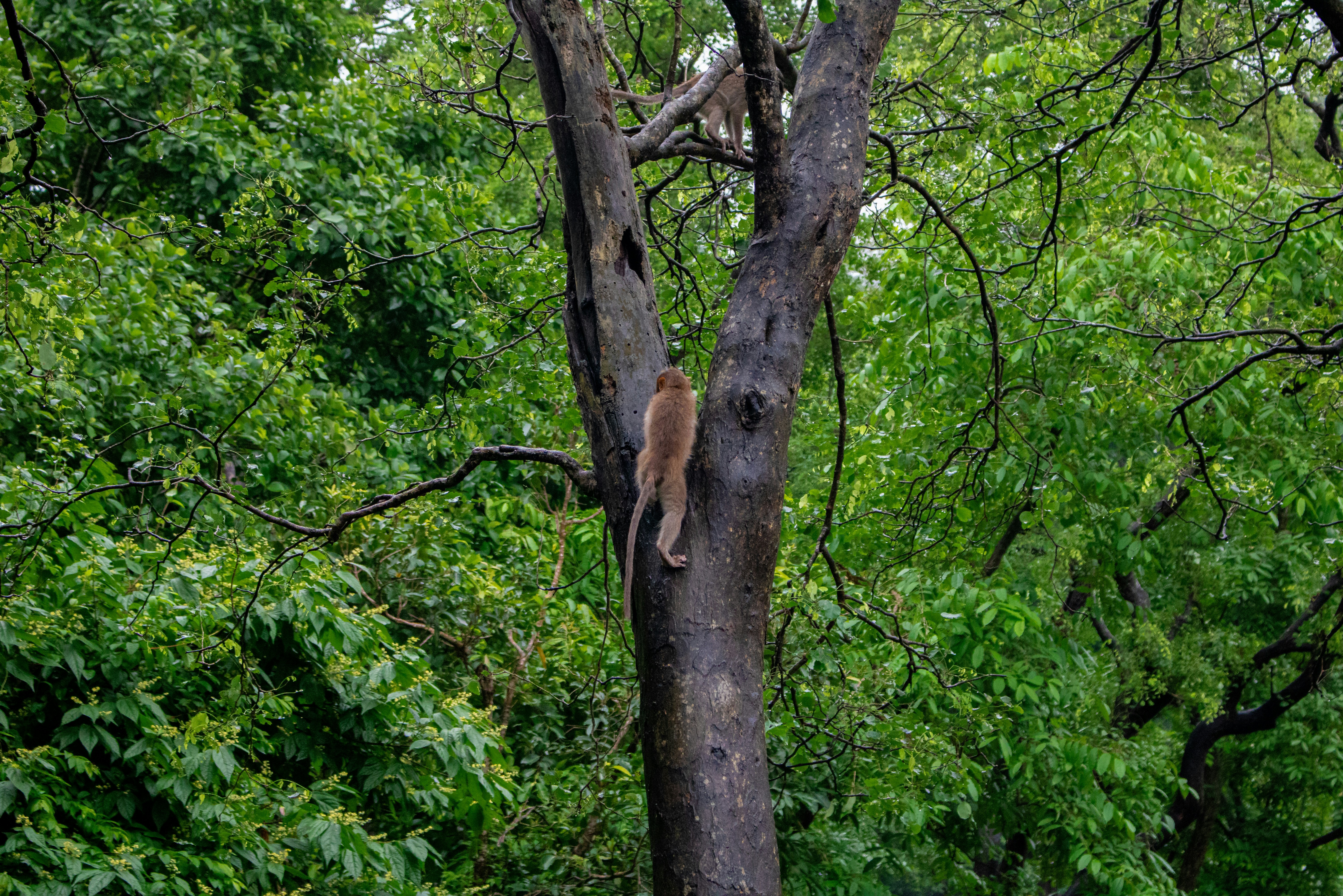 Photo by zoshuacolah