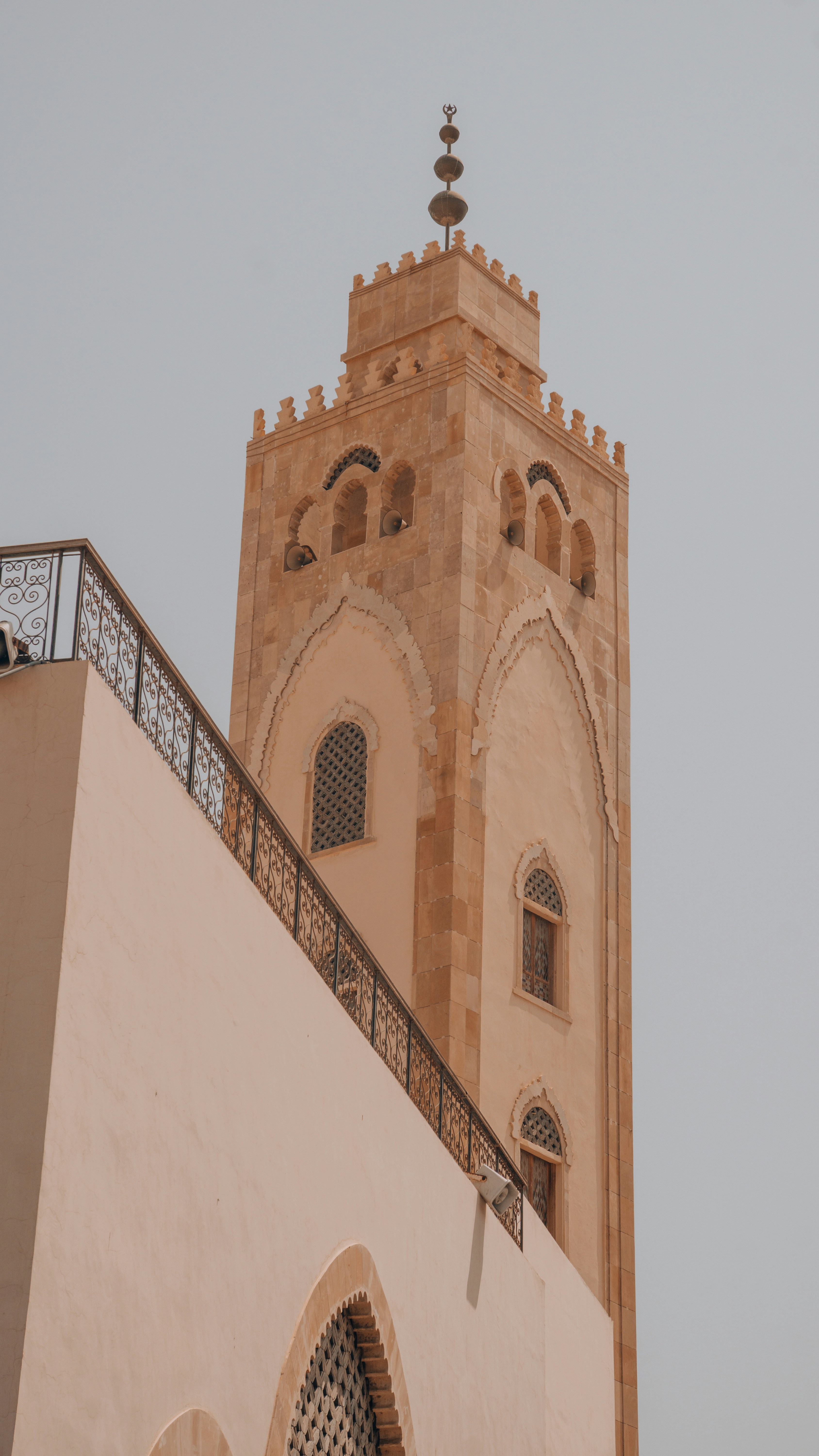 Photo by filizelaerts