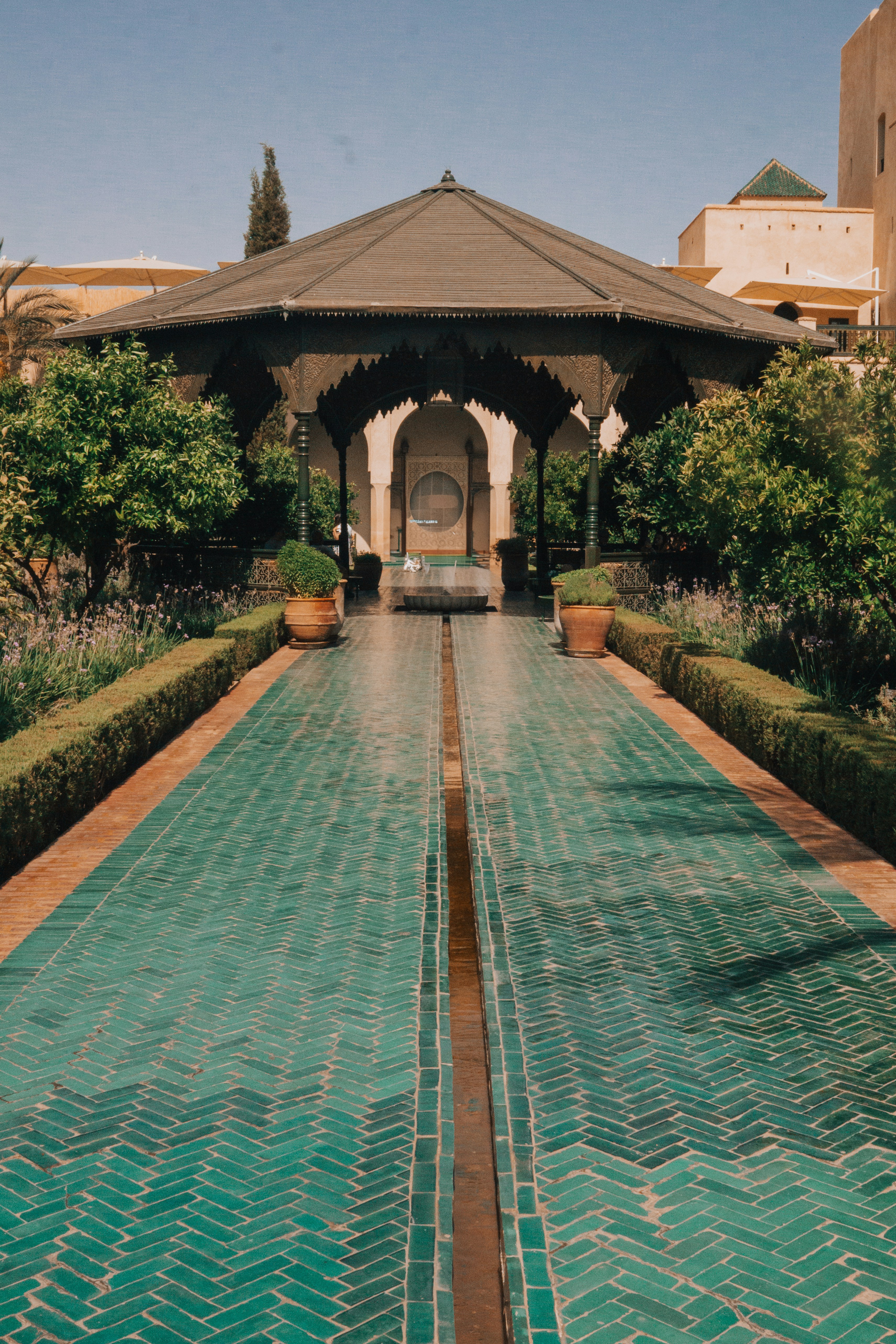 Photo by filizelaerts