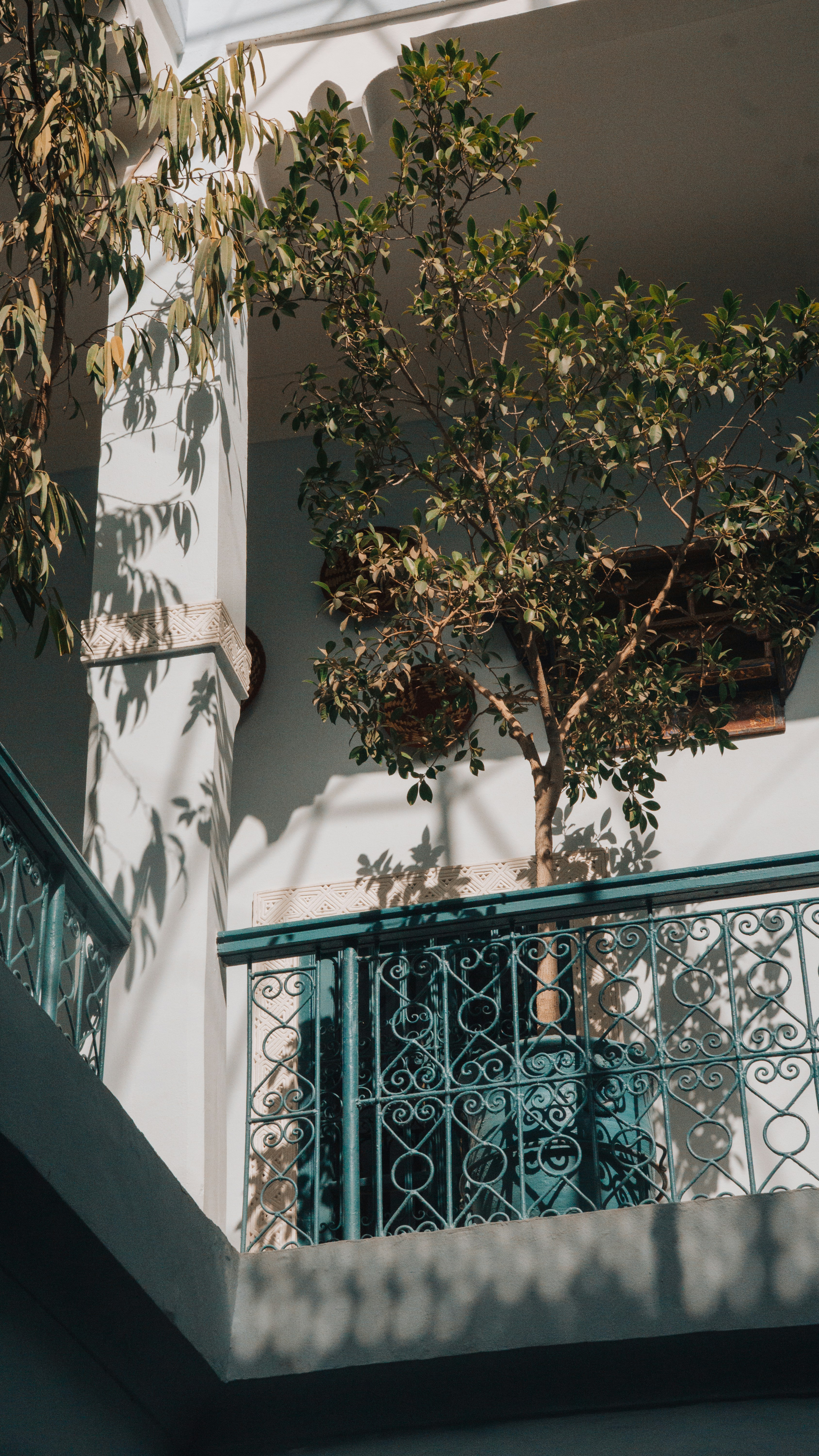 Photo by filizelaerts