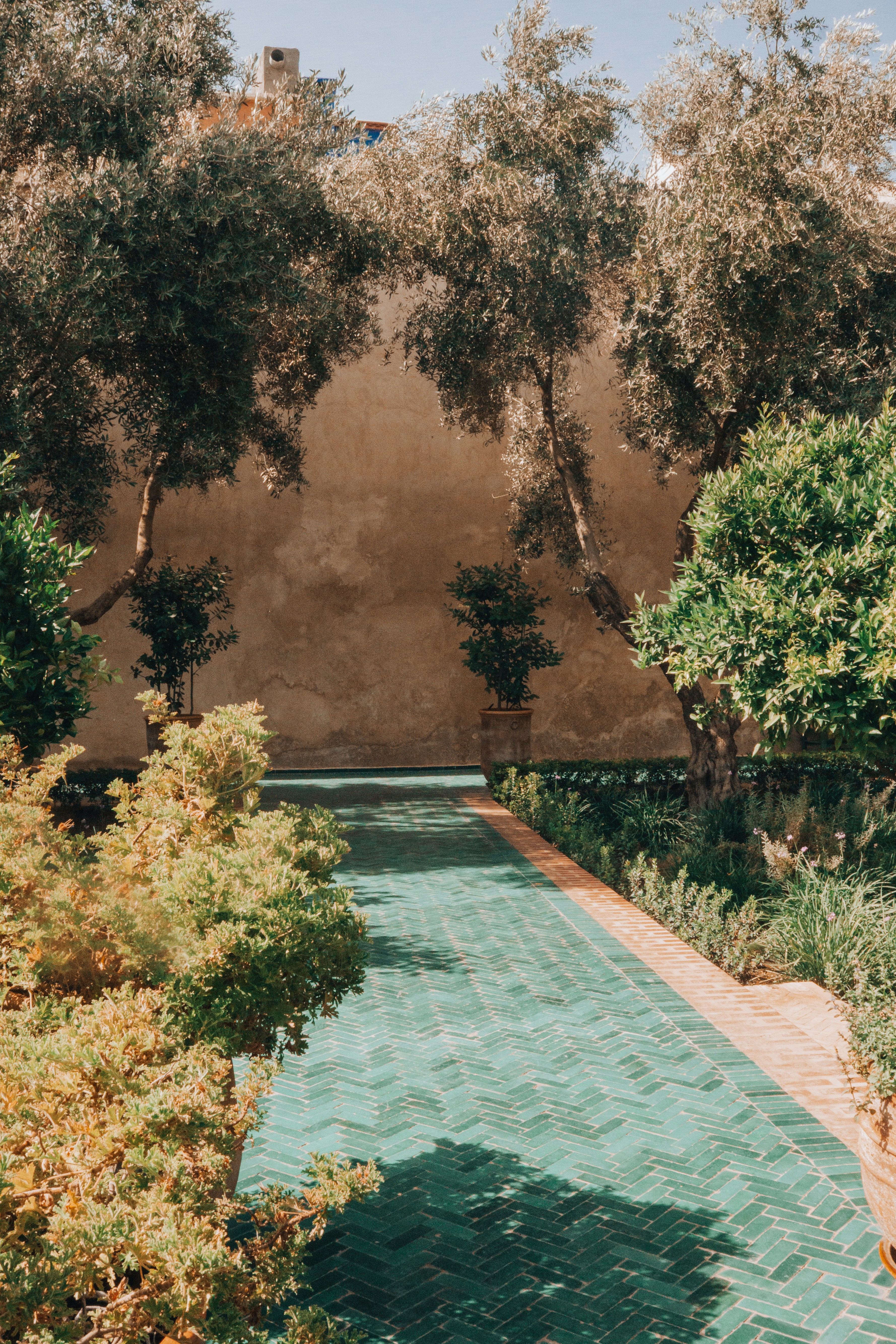 Photo by filizelaerts