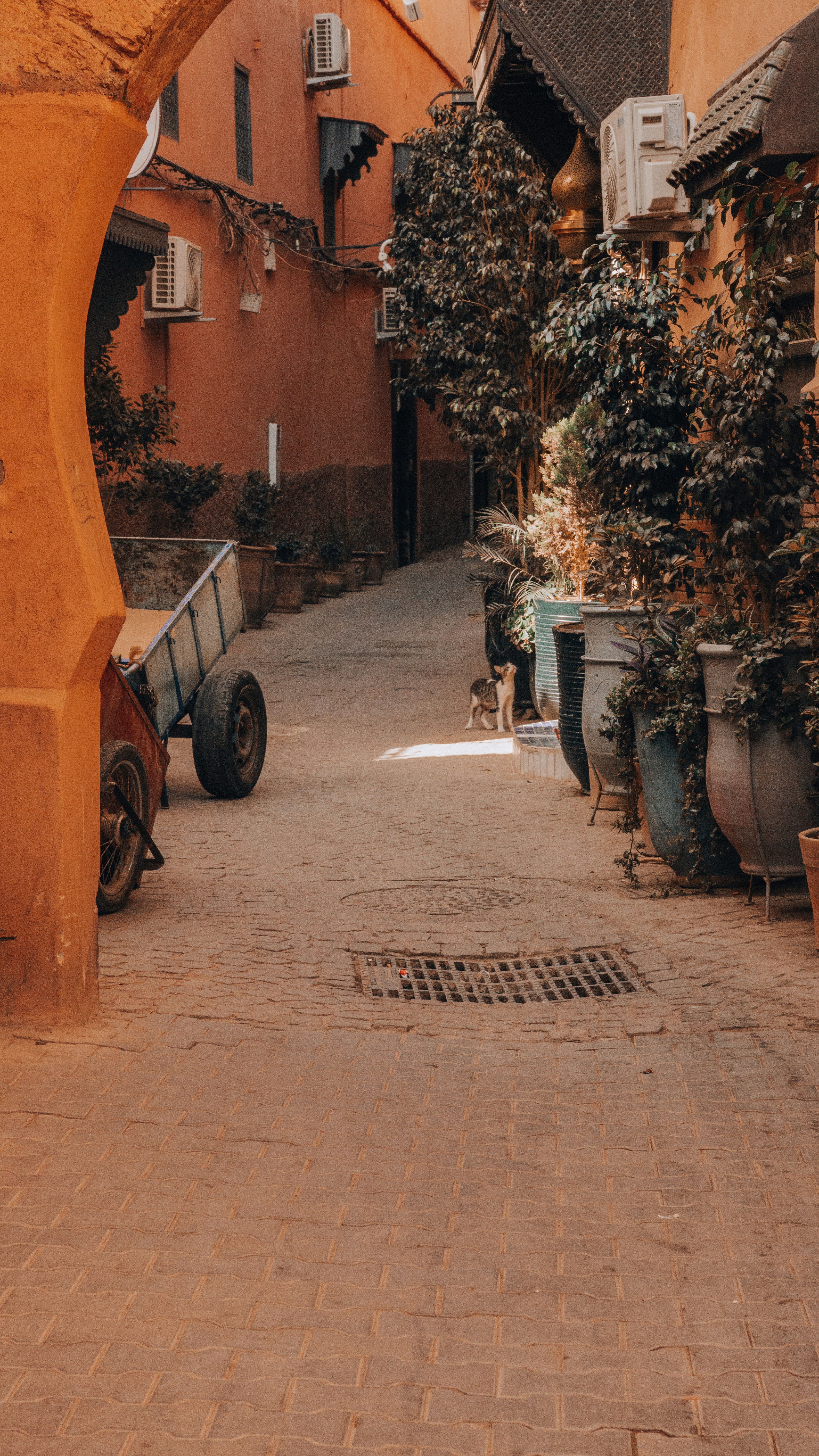 Photo by filizelaerts