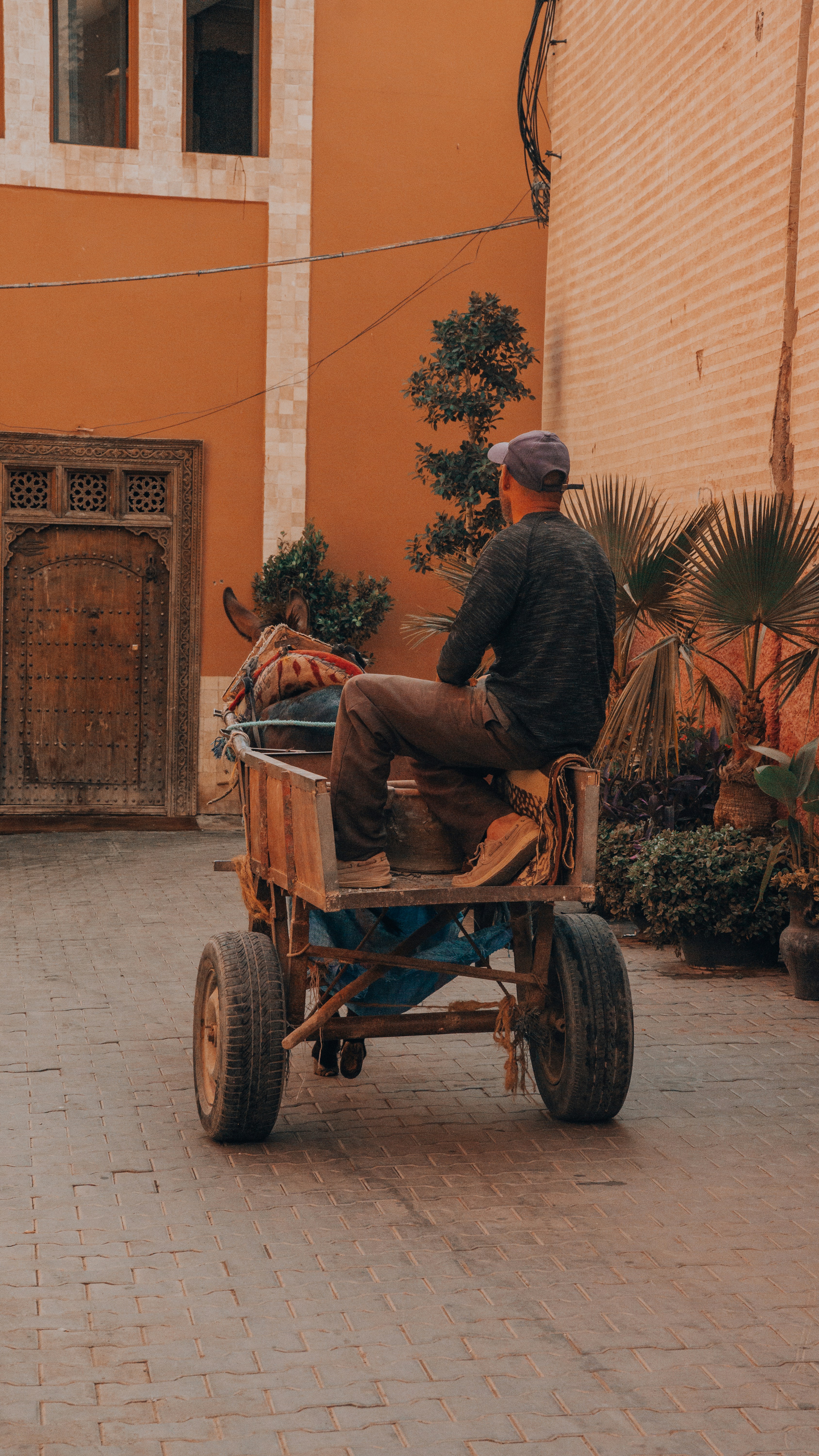 A man rides a cart pulled by a donkey.