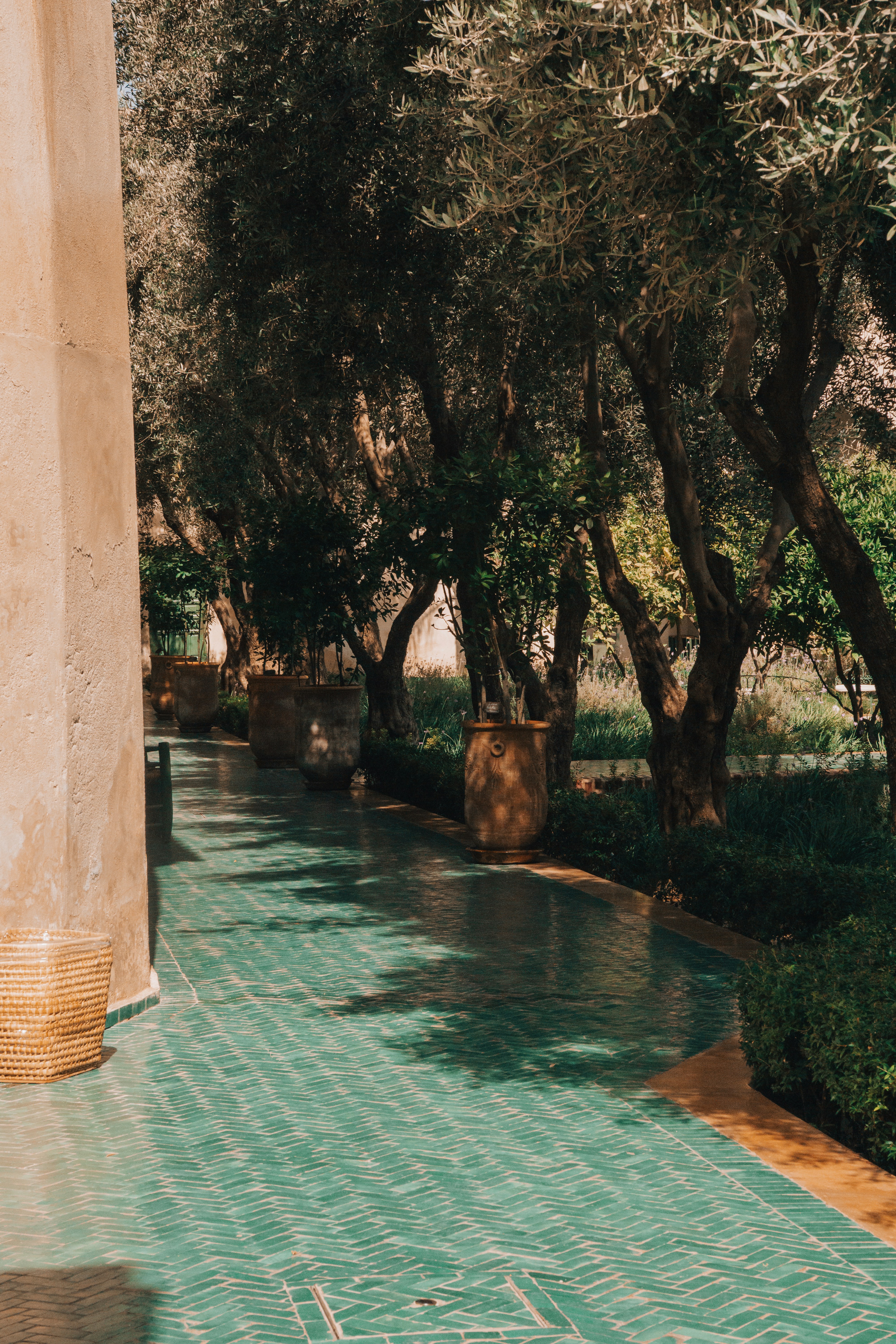 Photo by filizelaerts