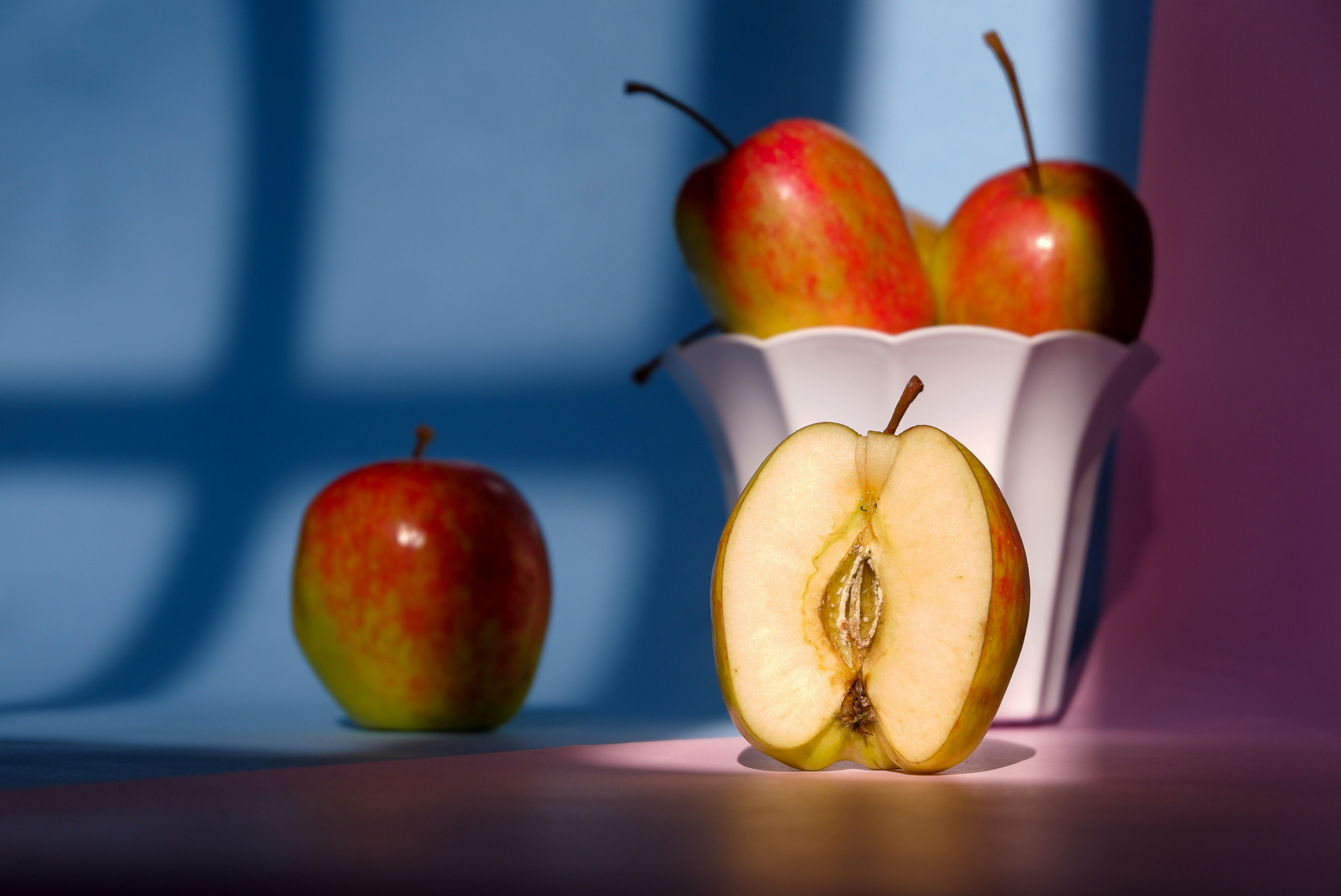 Photo by ayudiafatma