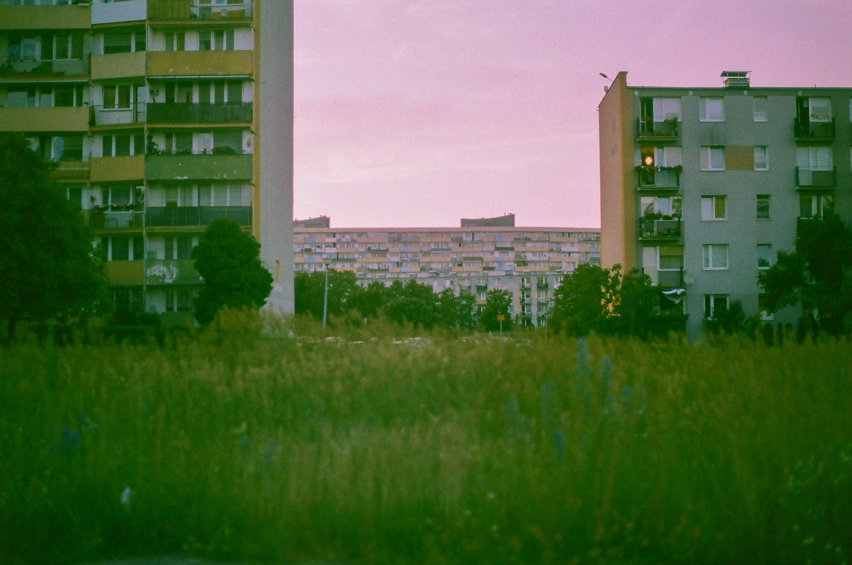 Photo by aucoeurdumonstre