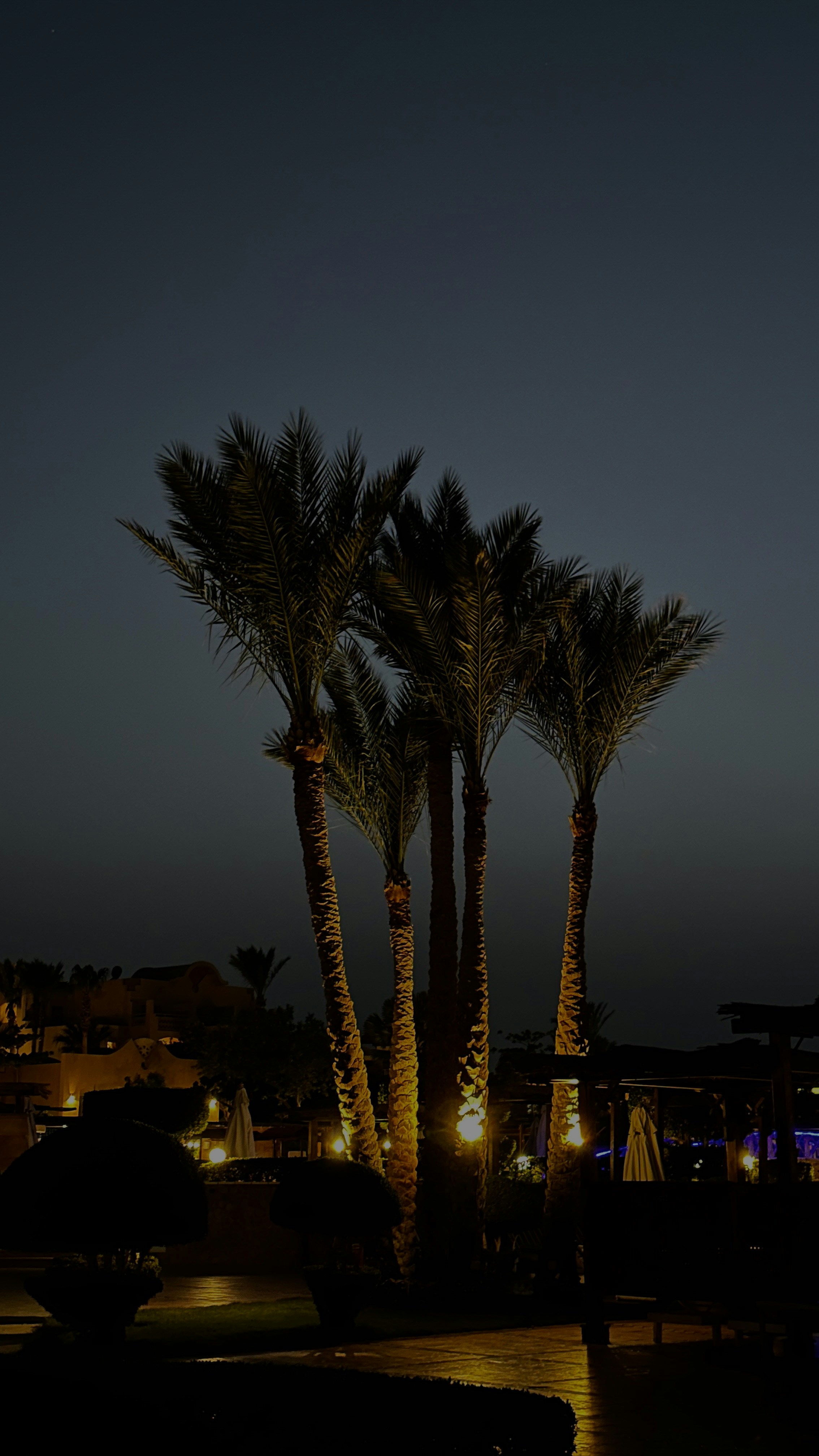 Photo by rewrite_thestars