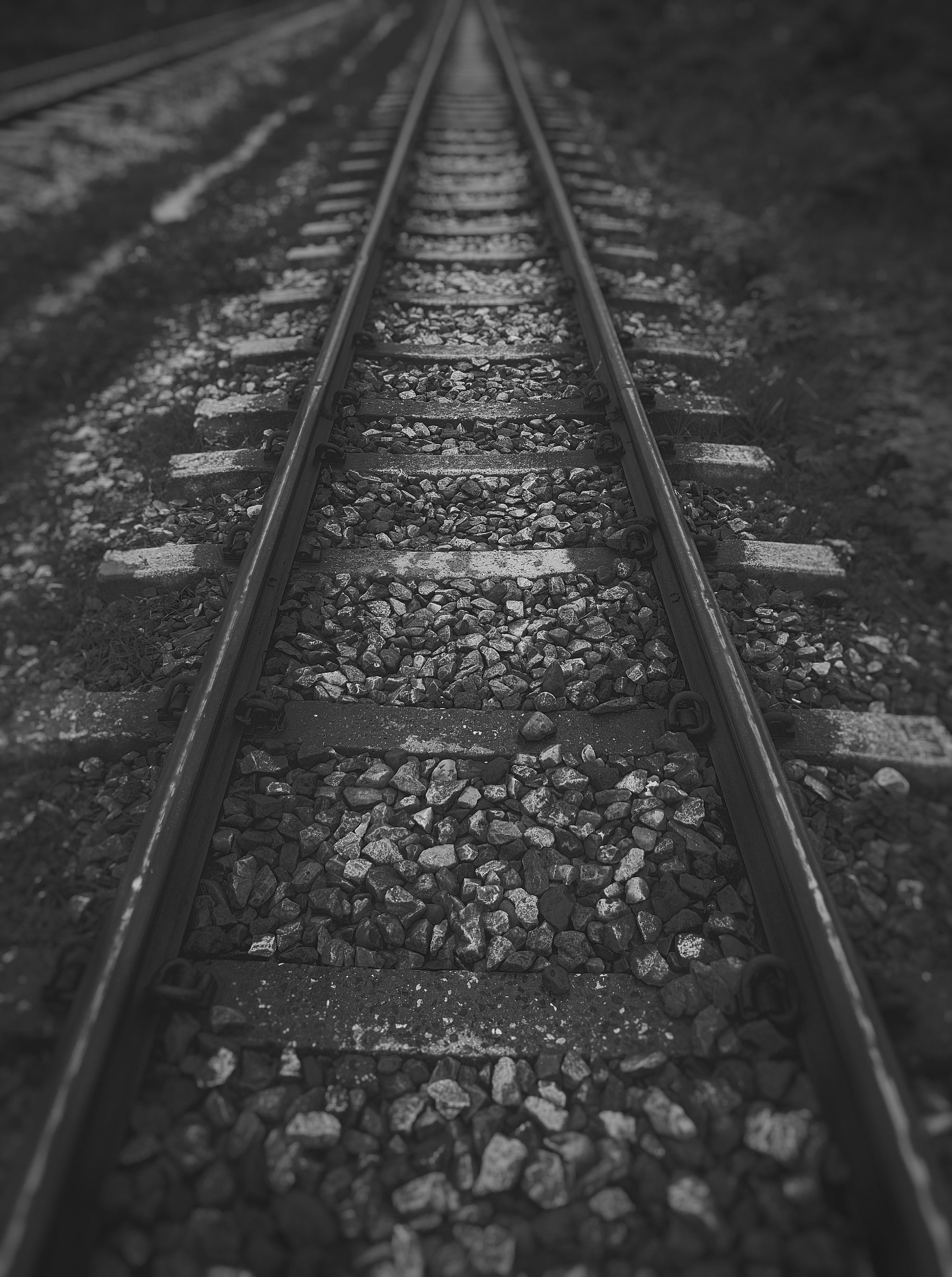 Photo by entity_night