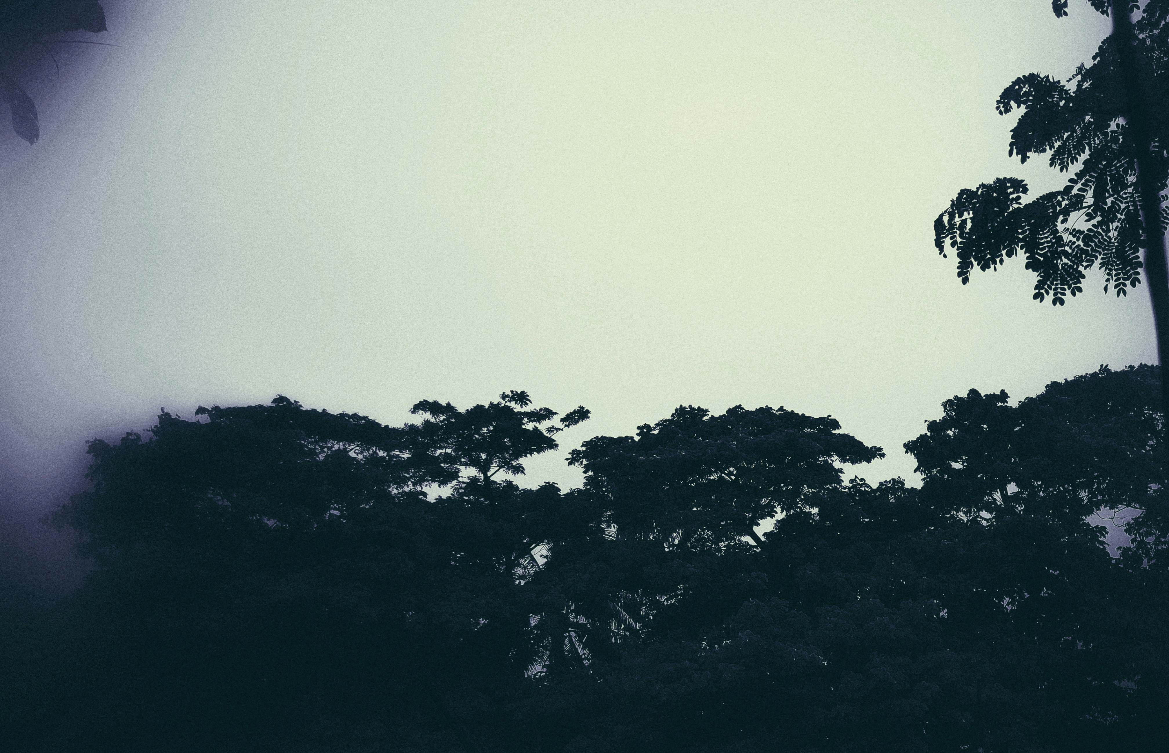Photo by entity_night
