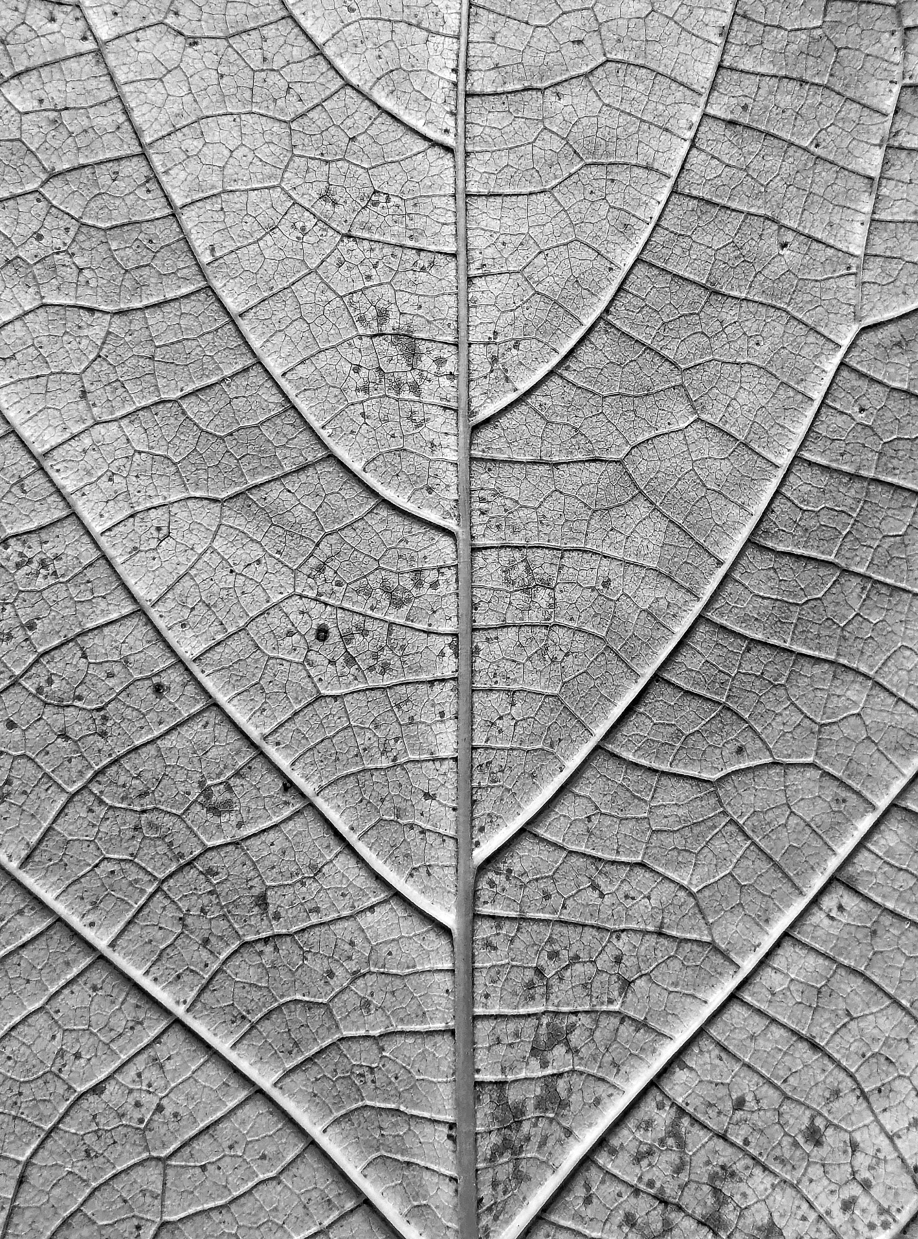 Photo by entity_night