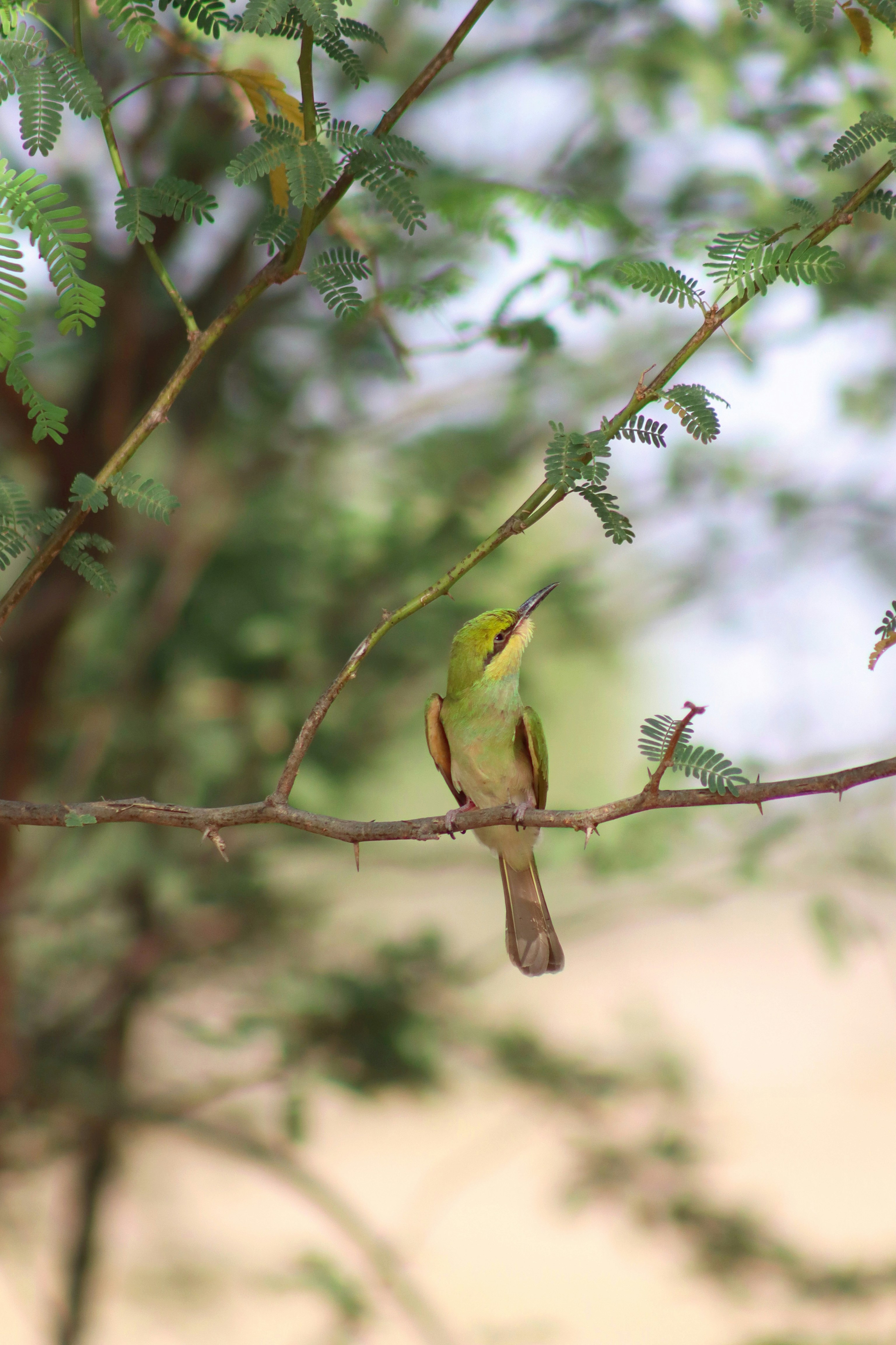 Photo by drphotographer152