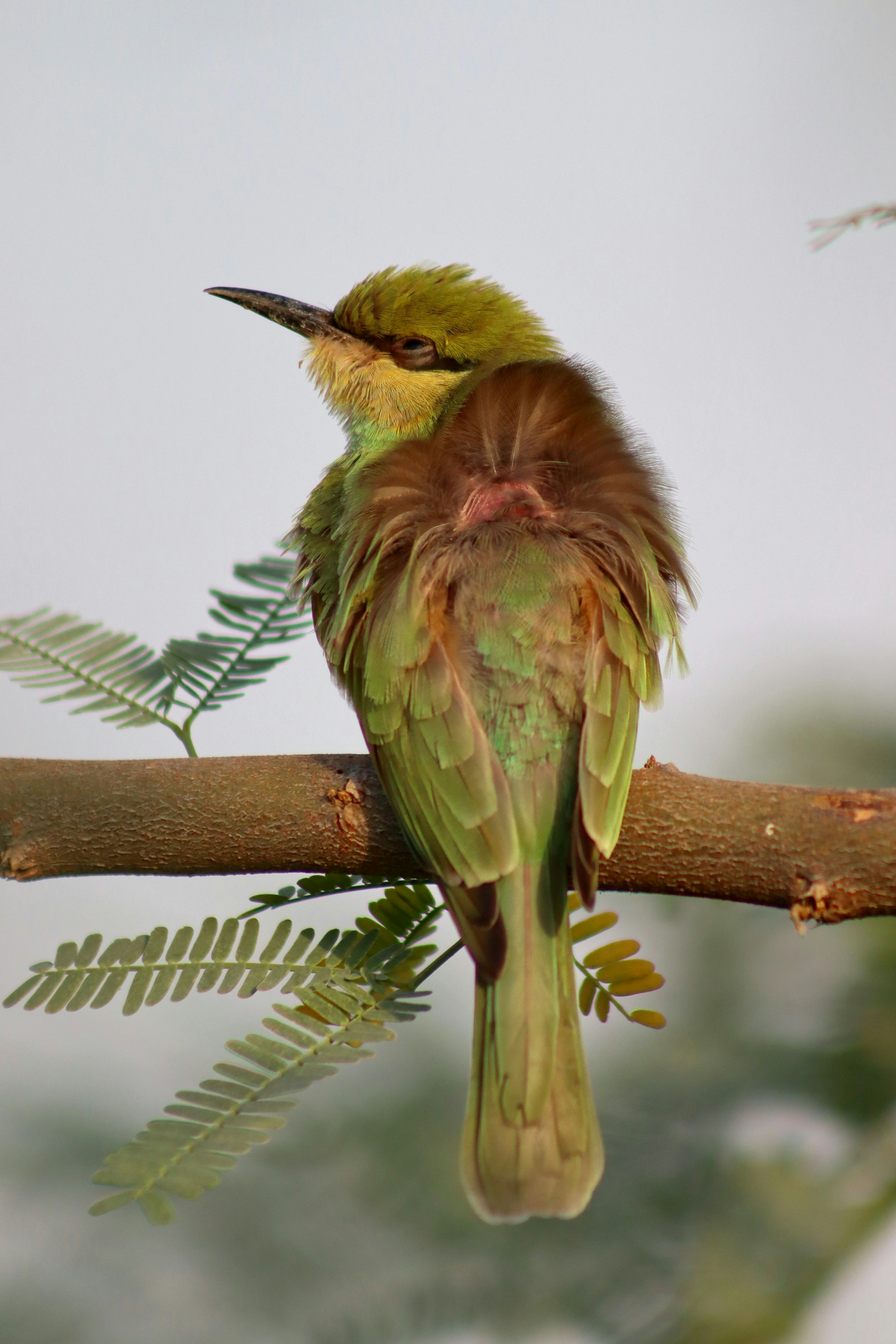 Photo by drphotographer152