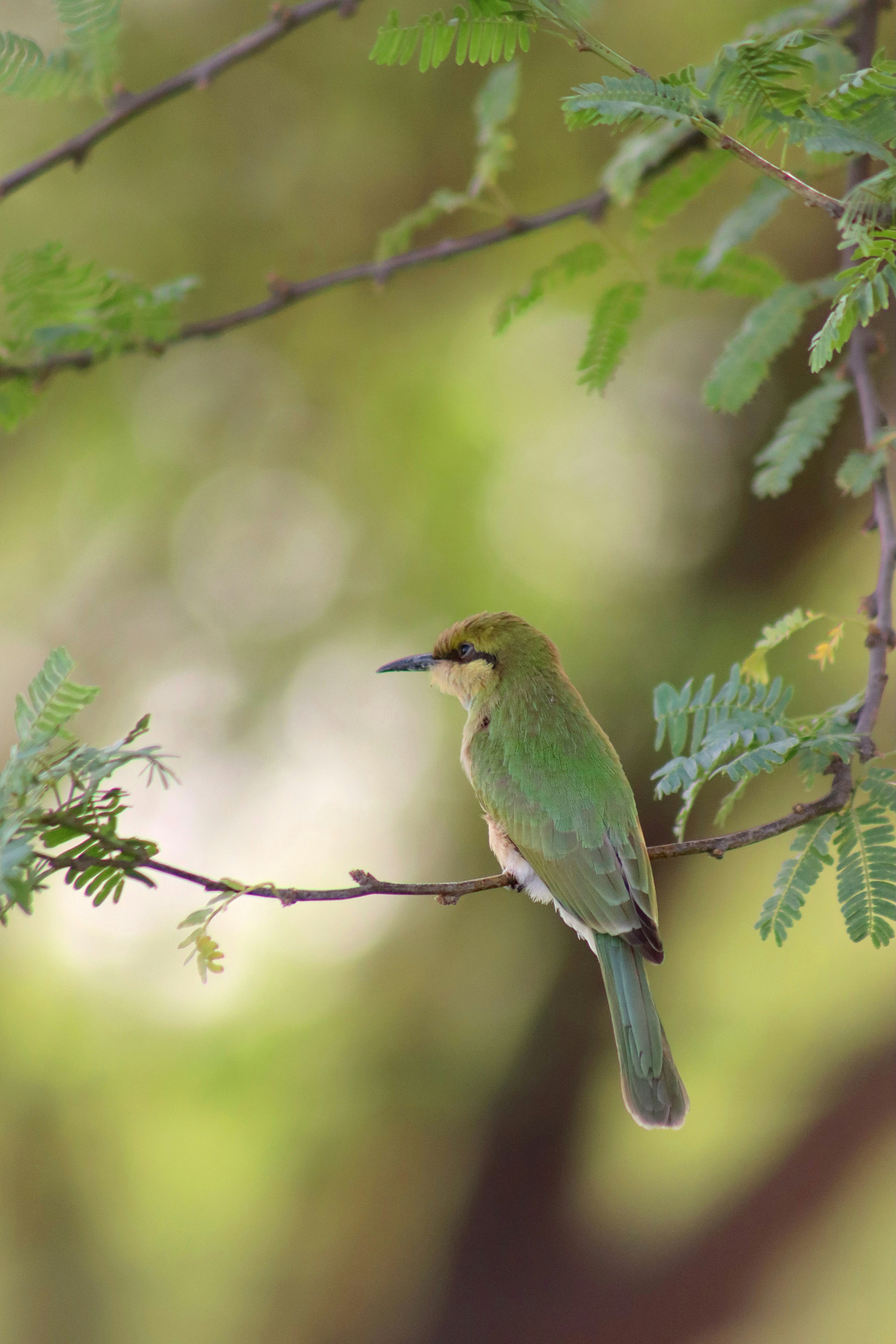 Photo by drphotographer152