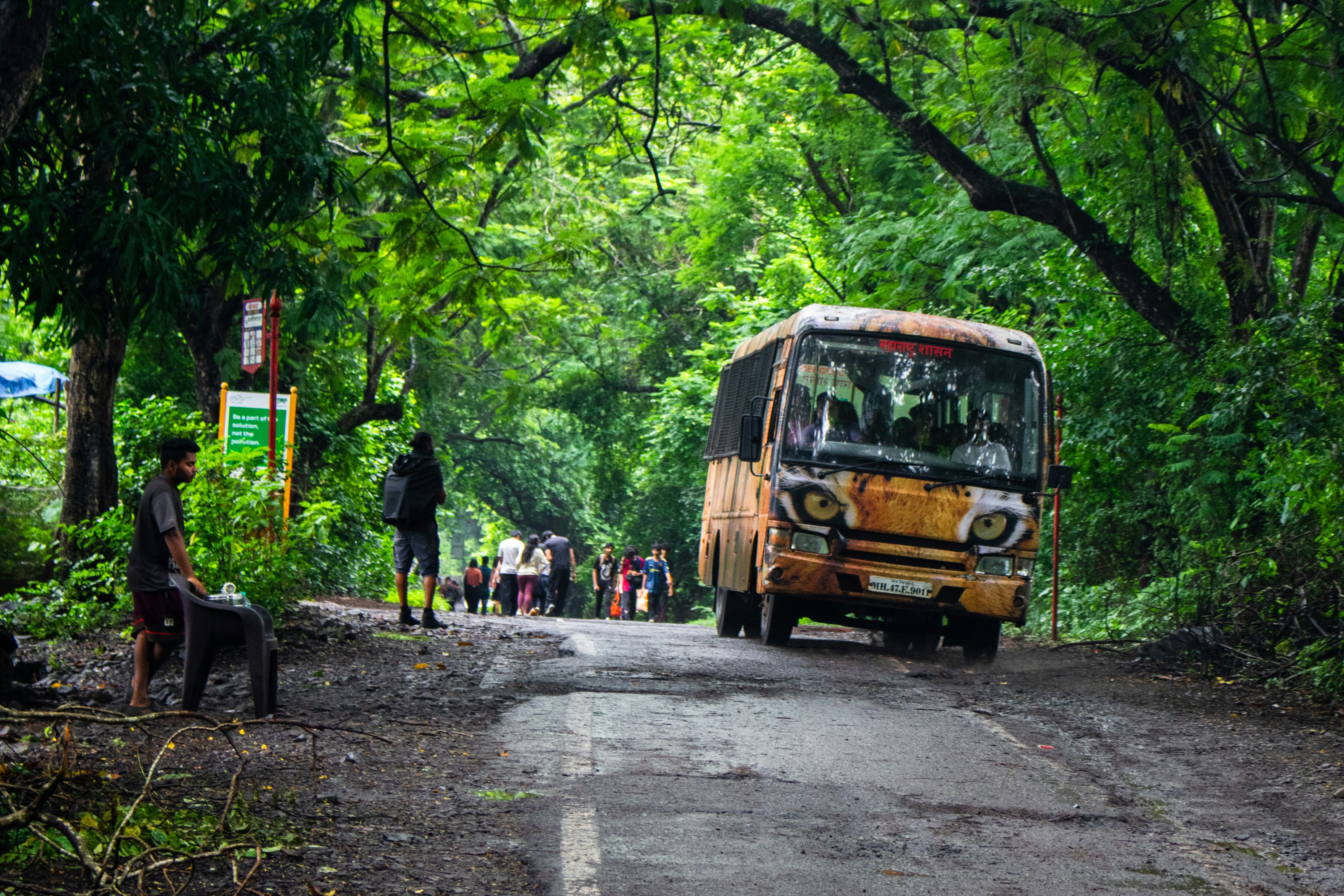 Bus travels down a lush, tree-lined road.
