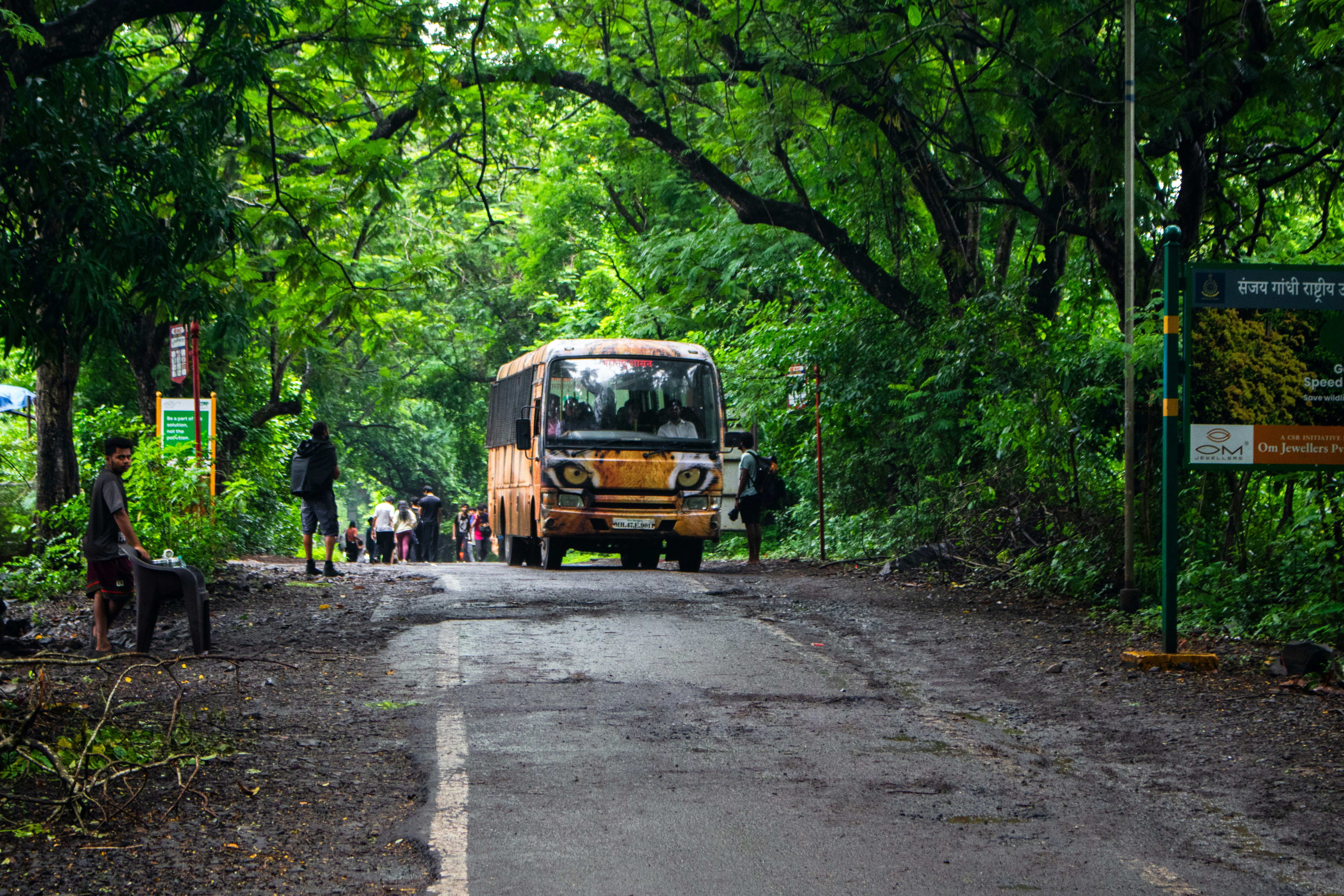 Photo by zoshuacolah