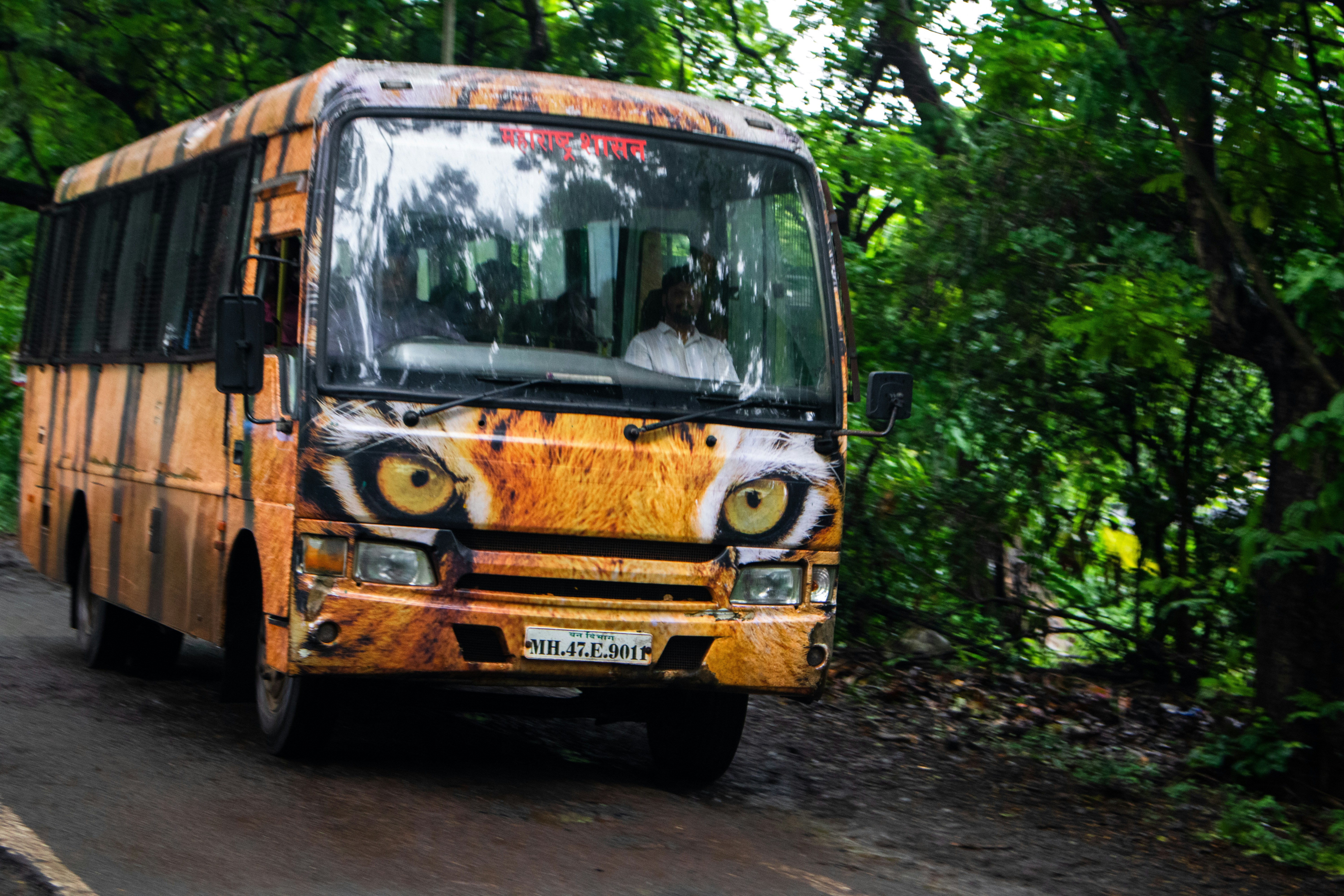 Photo by zoshuacolah