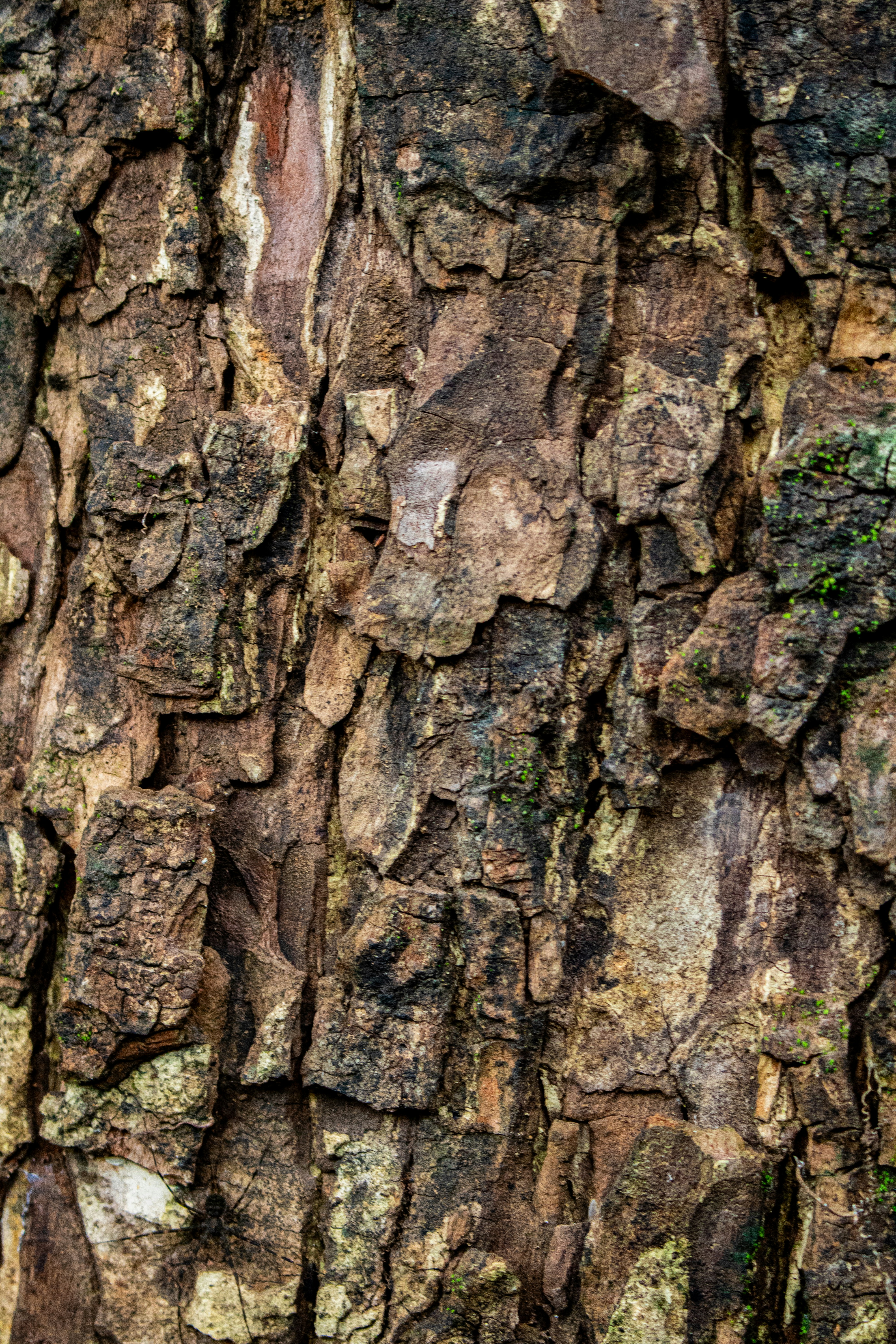 Photo by zoshuacolah