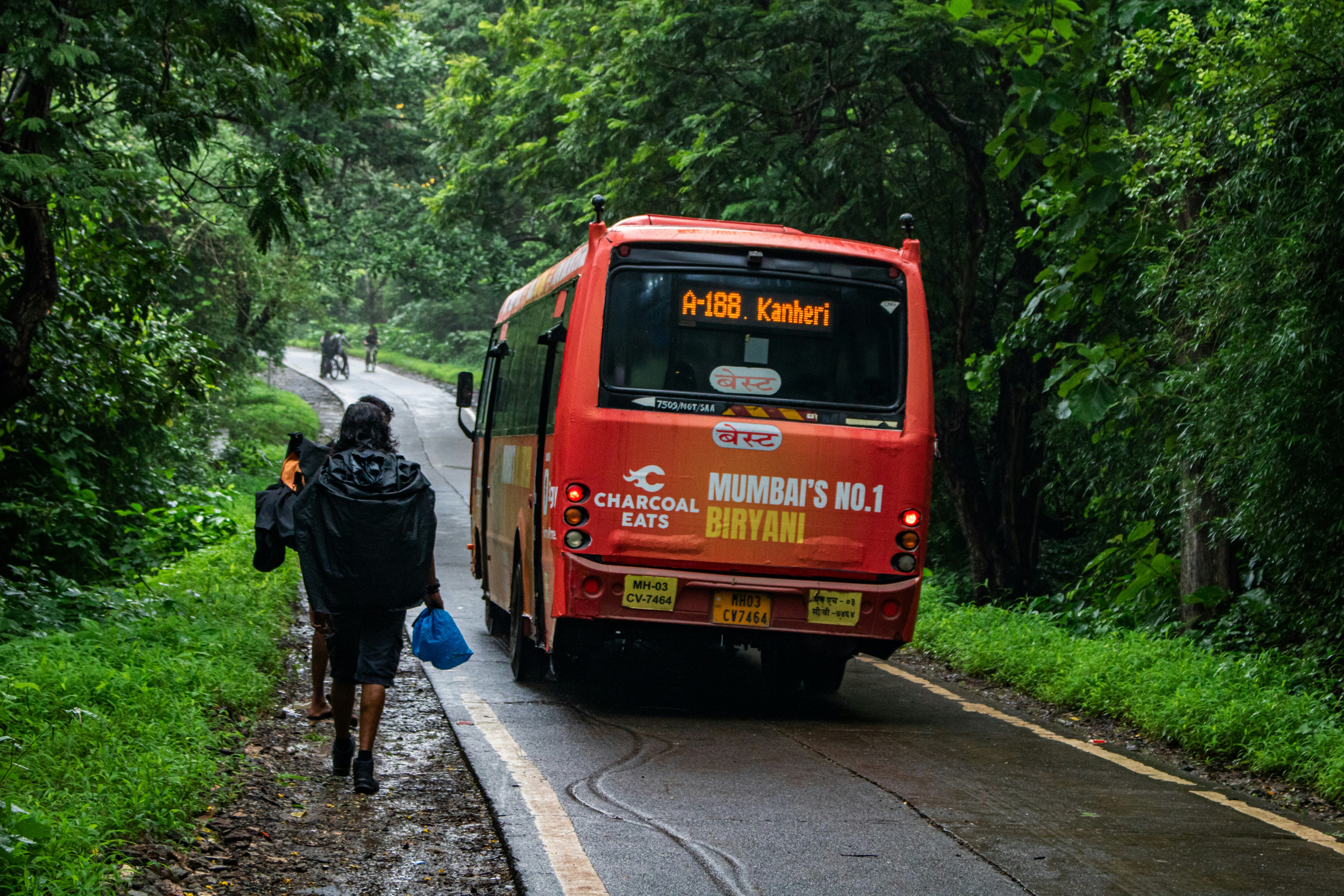 Rainy forest canopy, ilustrasi artikel Stay Dry & Cozy: Top Family Camping Tents for Rainy Weather 5