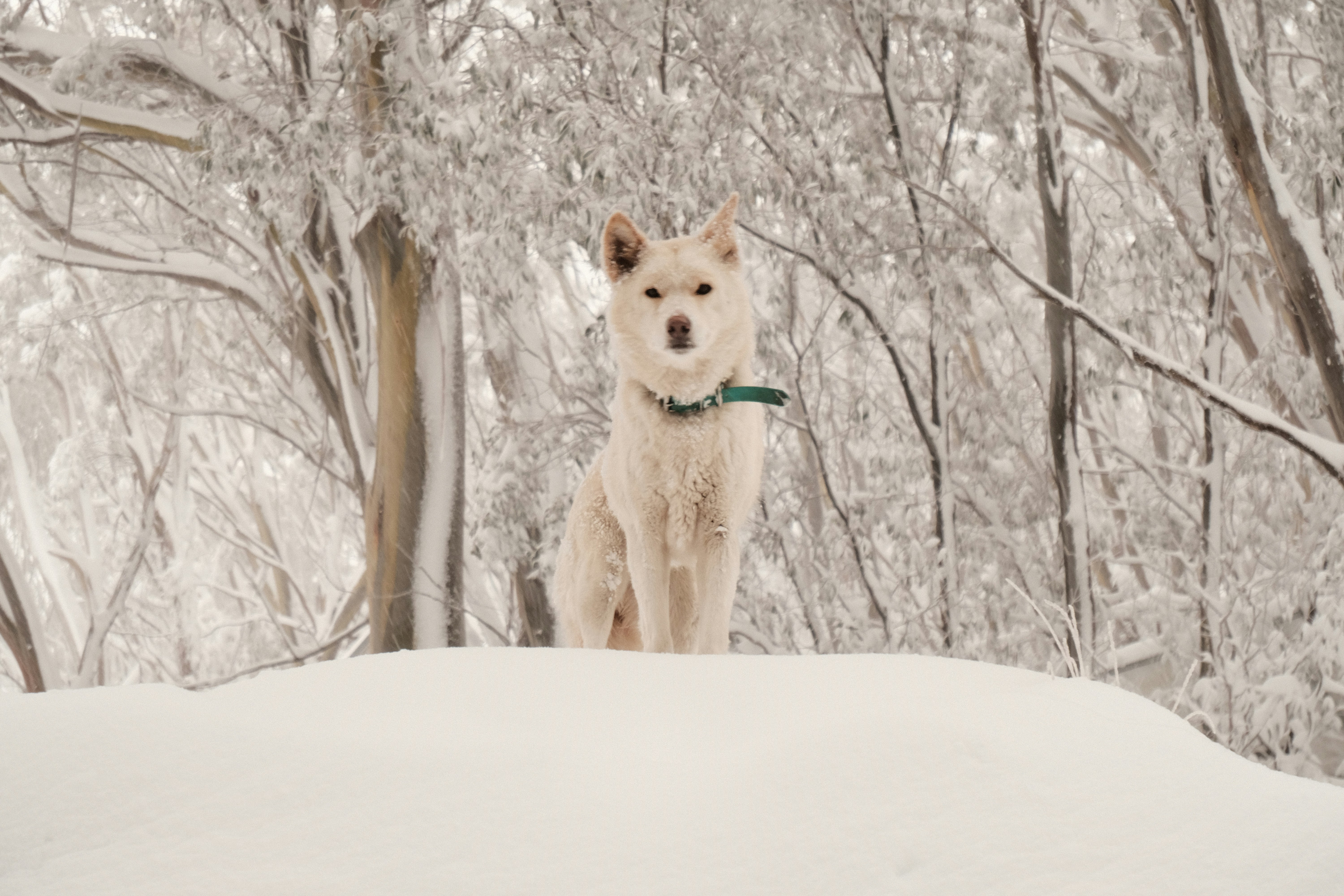 Photo by lewisbyoung97